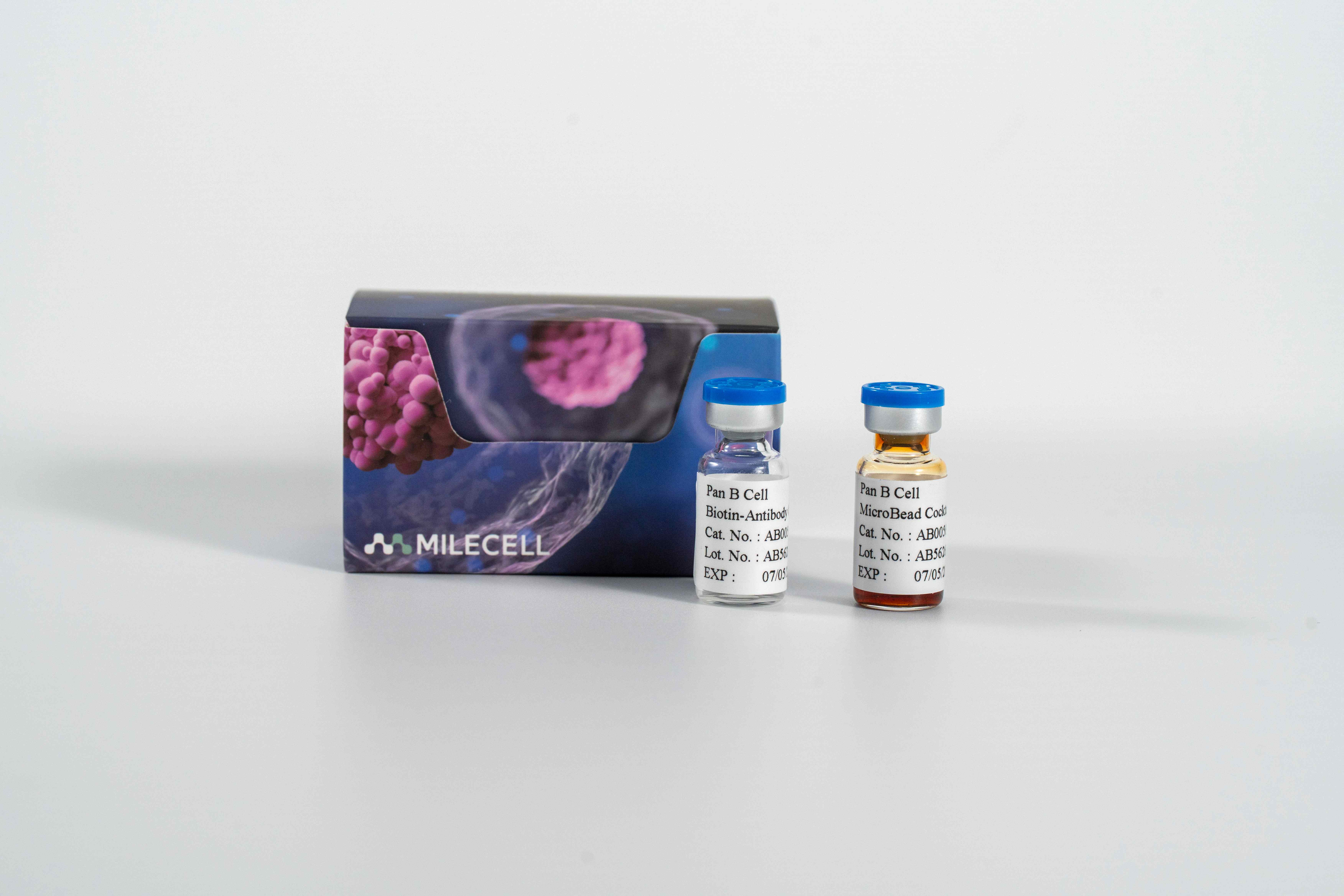 B Cell Separation MicroBeads