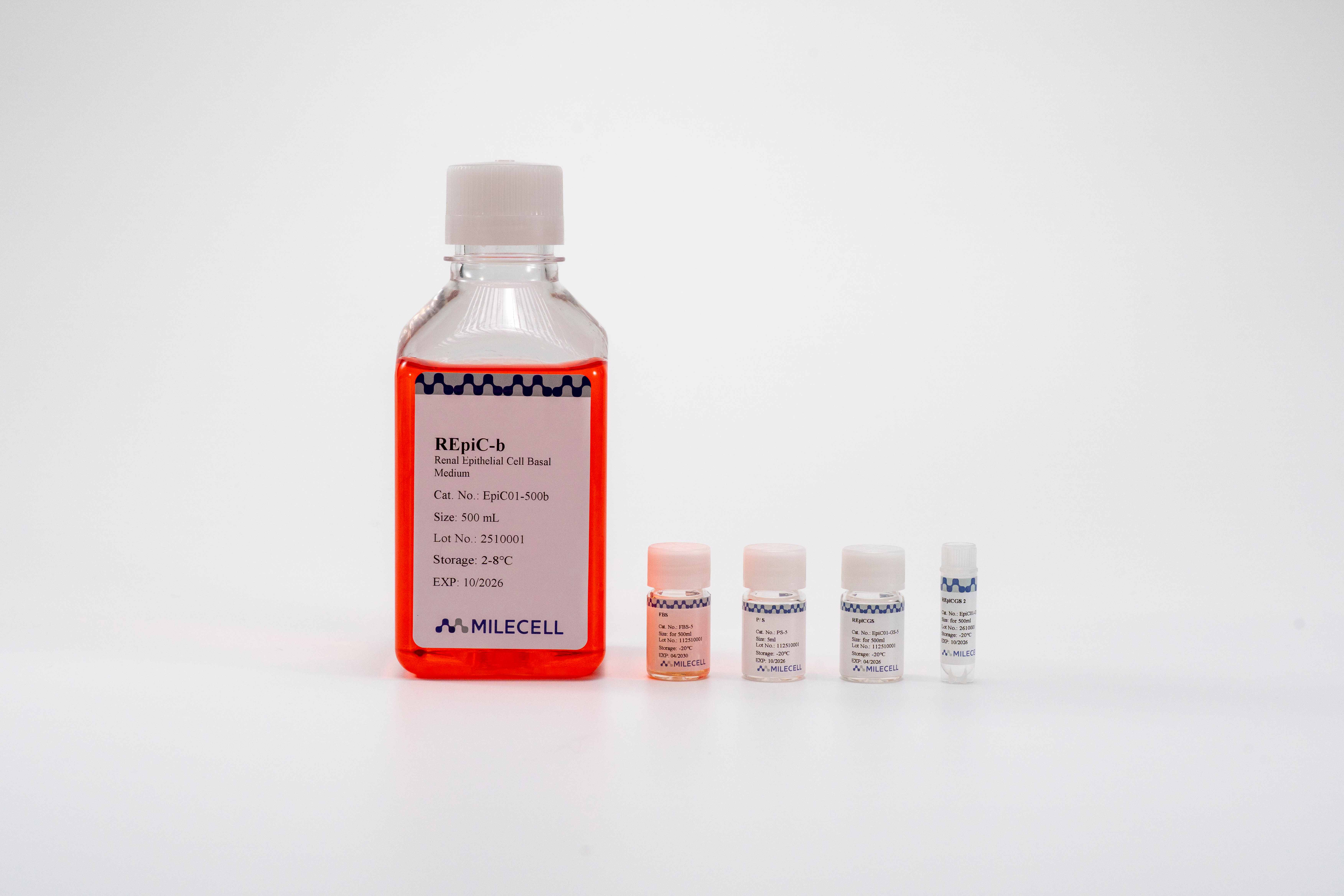 Renal Epithelial Cell Medium Kit