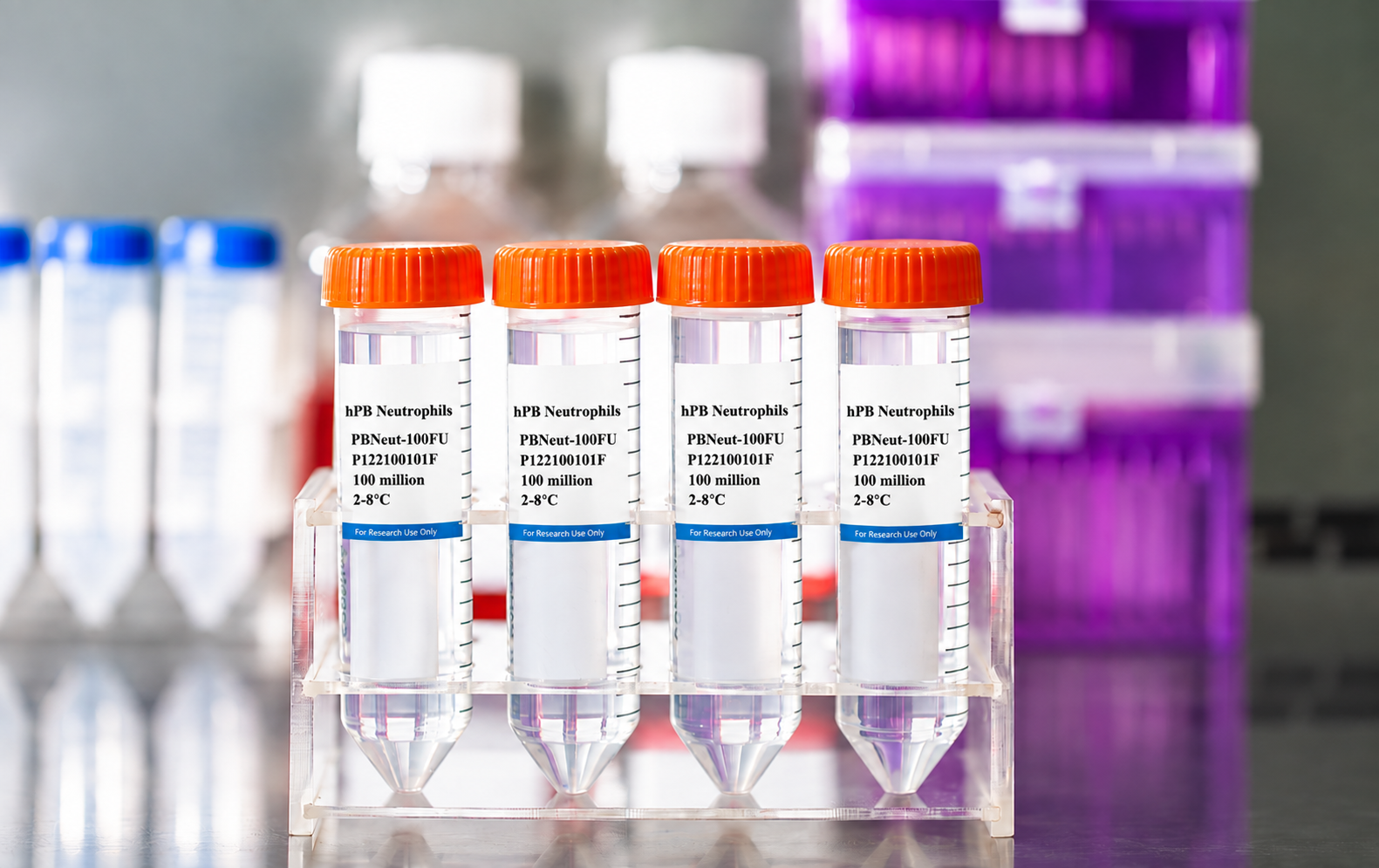 Human Peripheral Blood Neutrophils