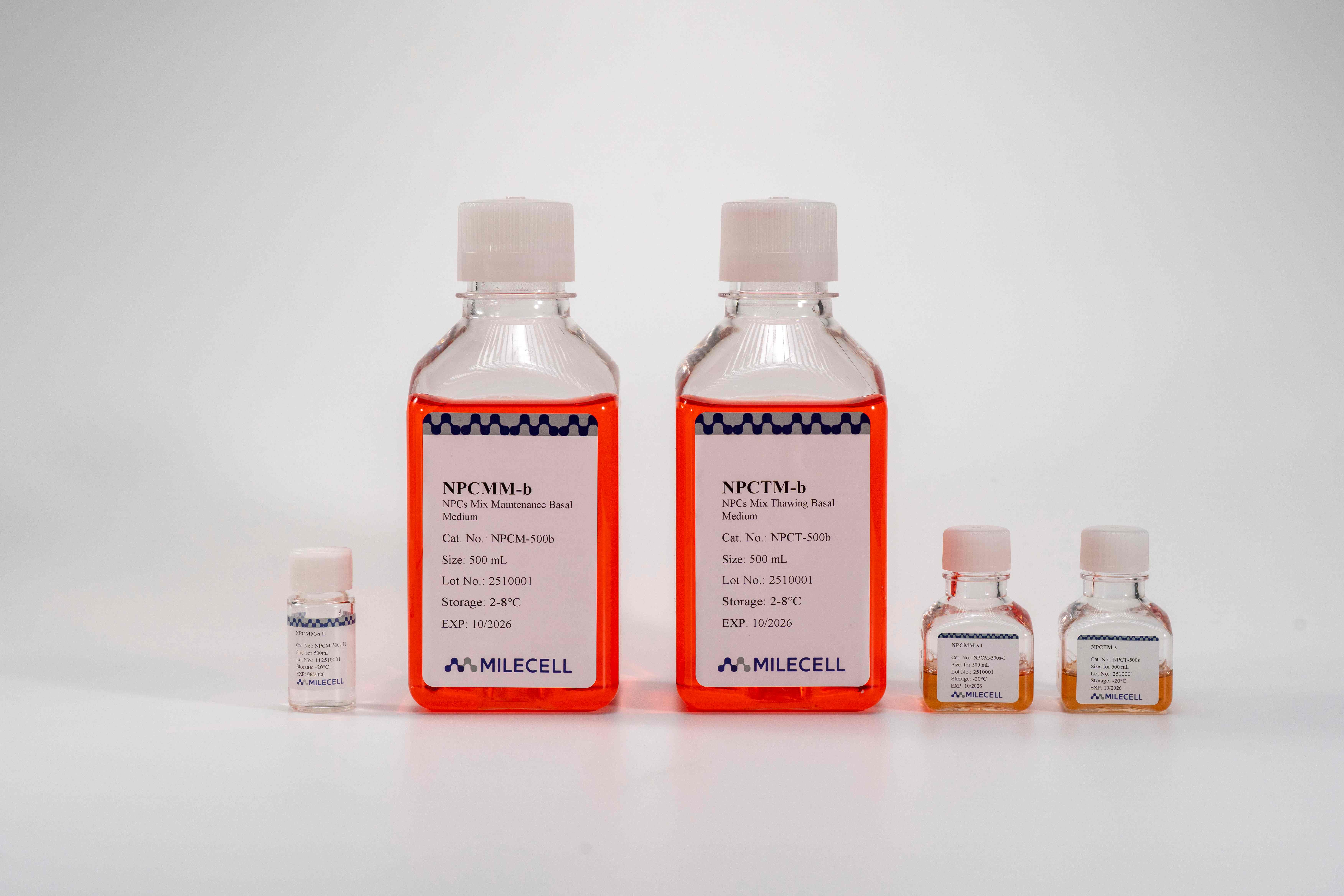 Non-Parenchymal Cell Culture Medium Kit