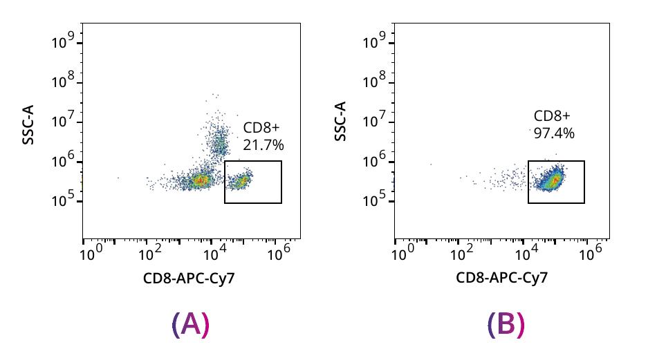 CD8+ T cell purity from 21.7% to 97.4% after negative magnetic selection