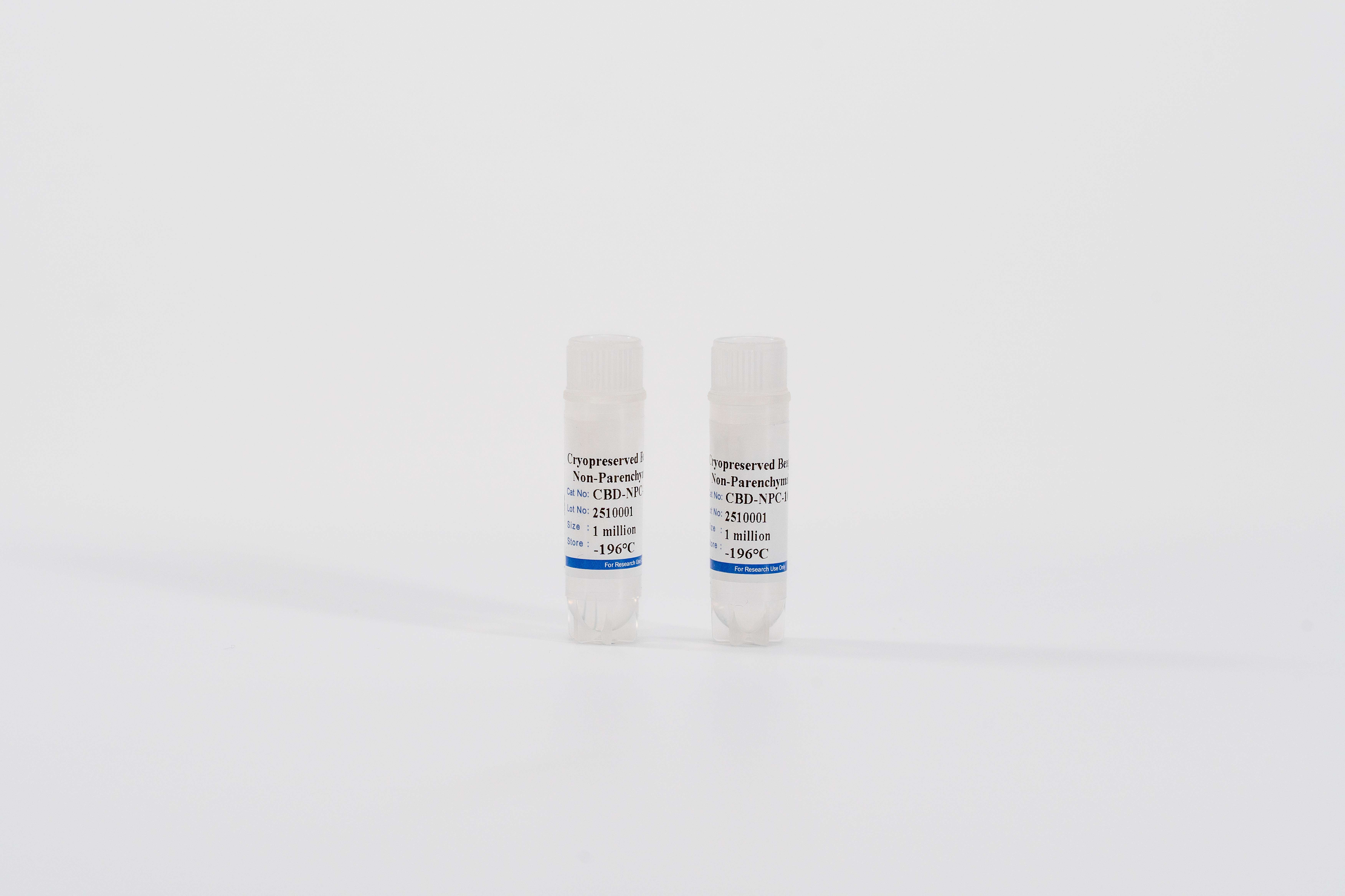 Dog Non-Parenchymal Cells Mix