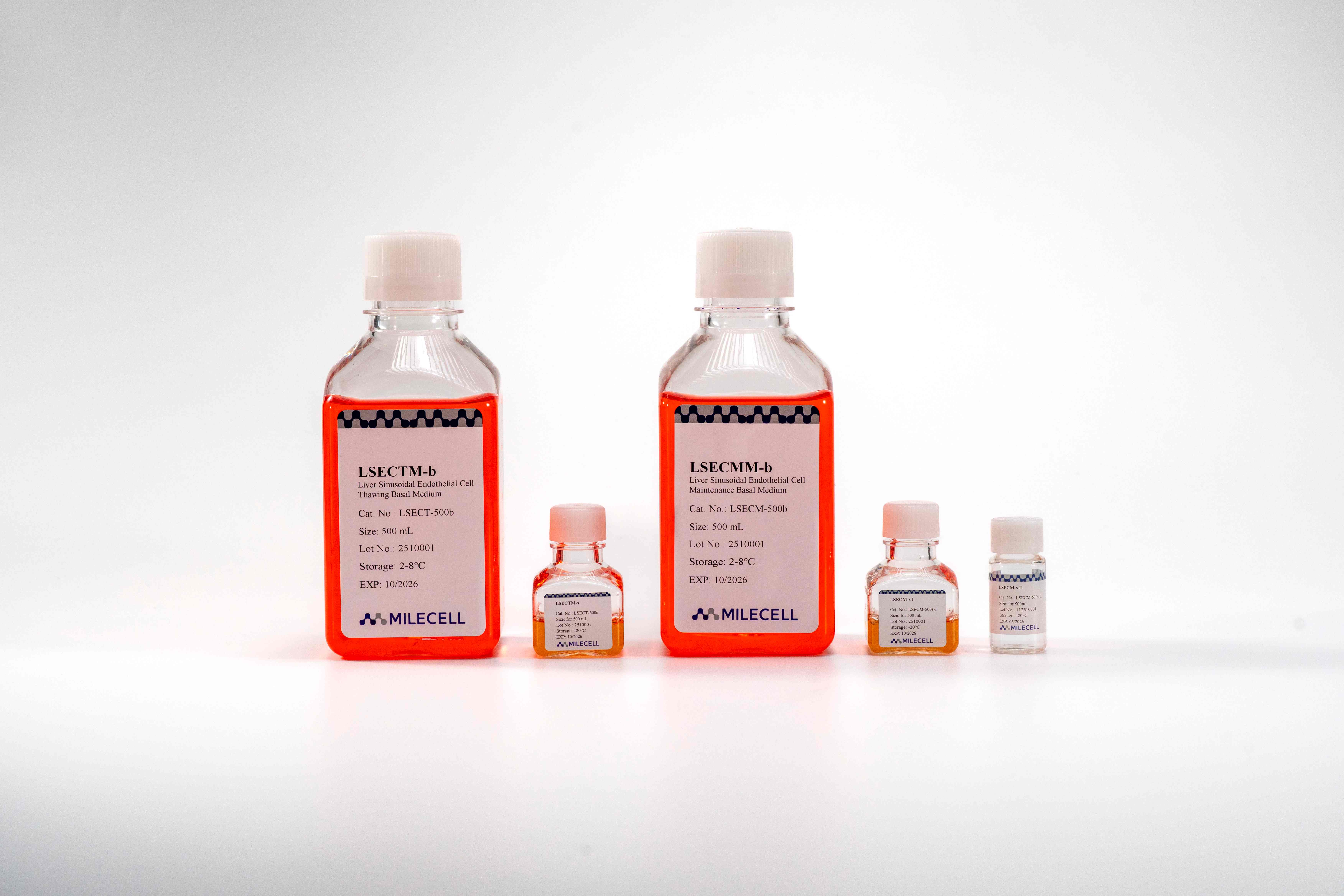 Liver Sinusoidal Endothelial Cell Culture Medium Kit