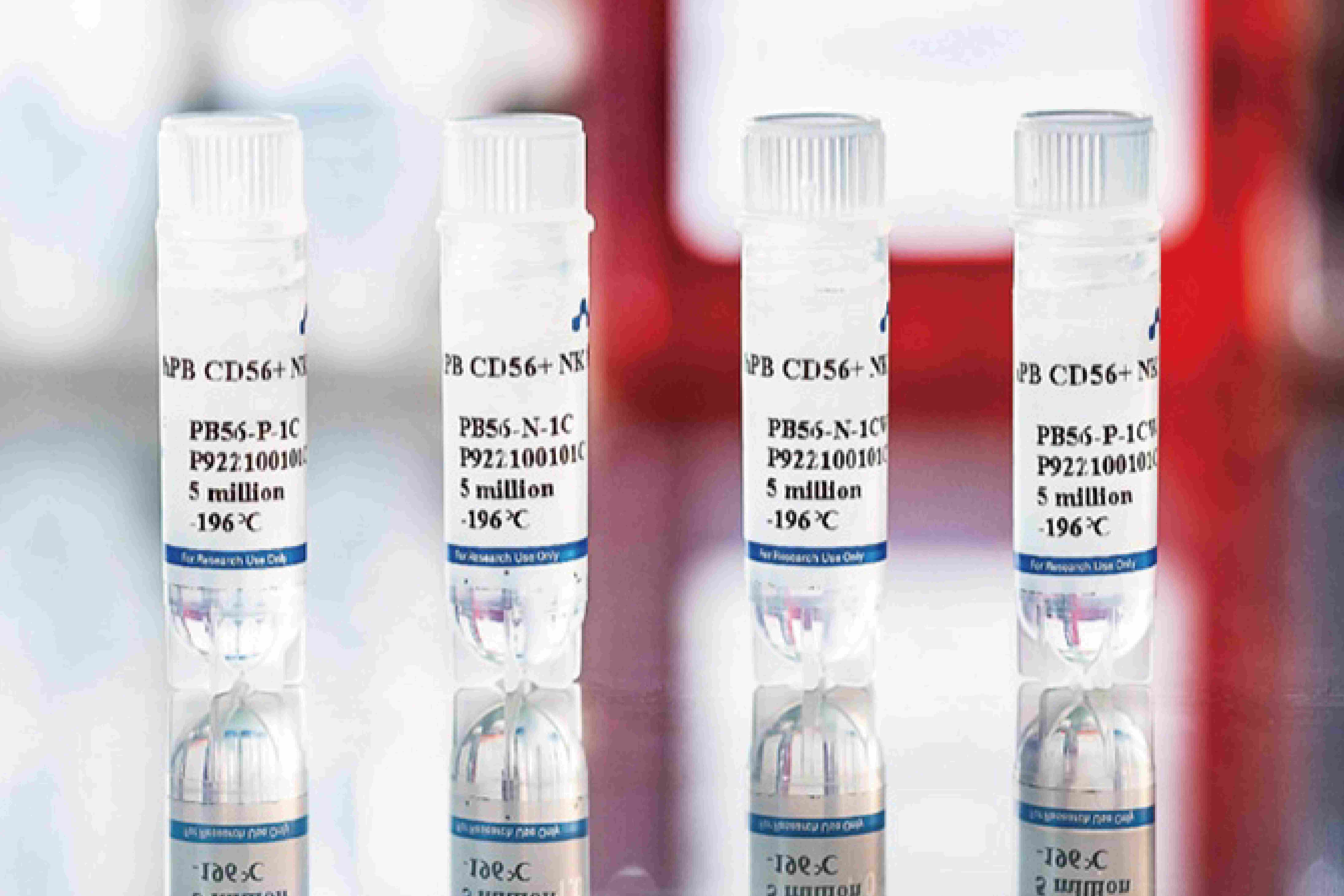 Human Peripheral Blood CD56+ NK Cells