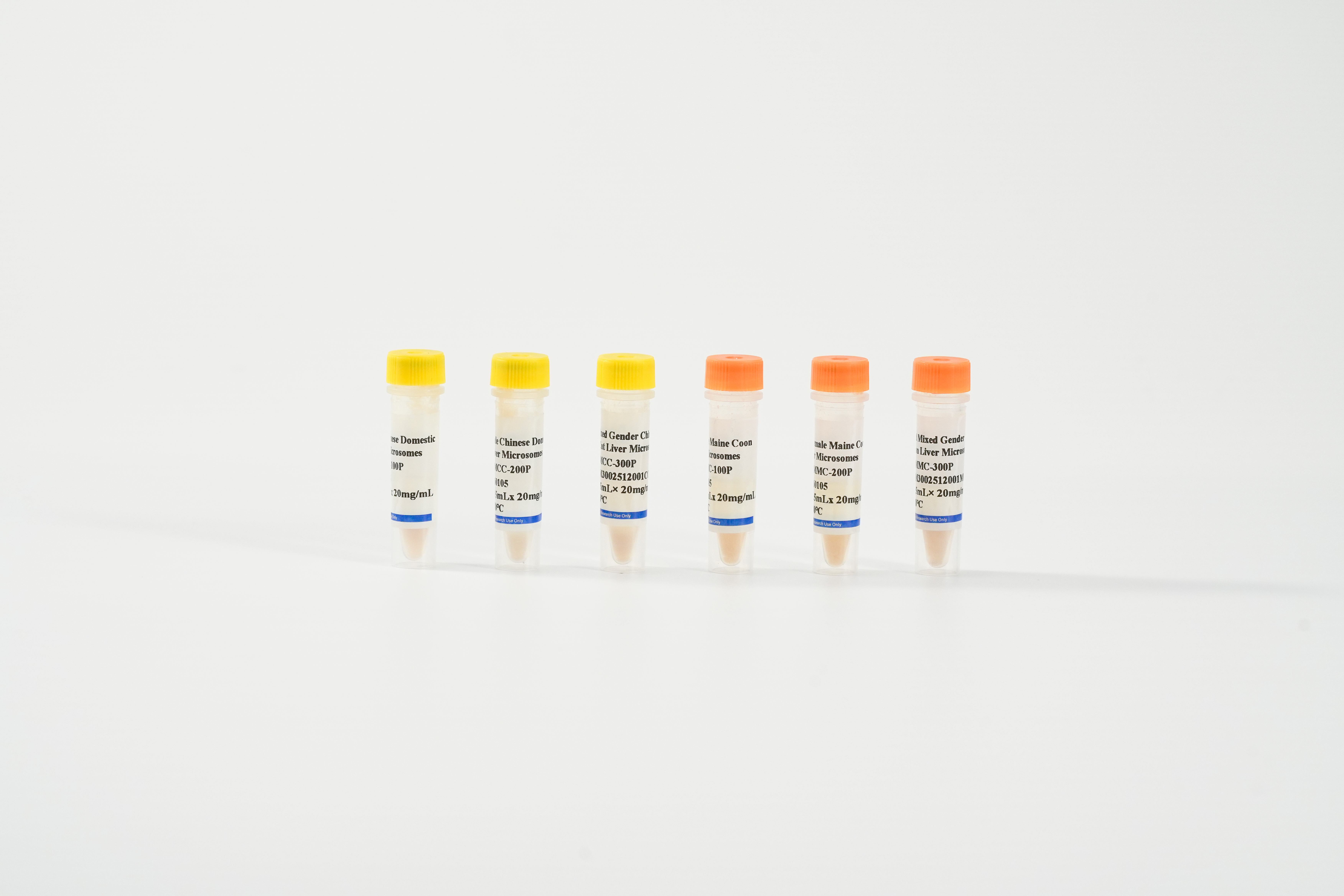 Feline Liver Microsomes