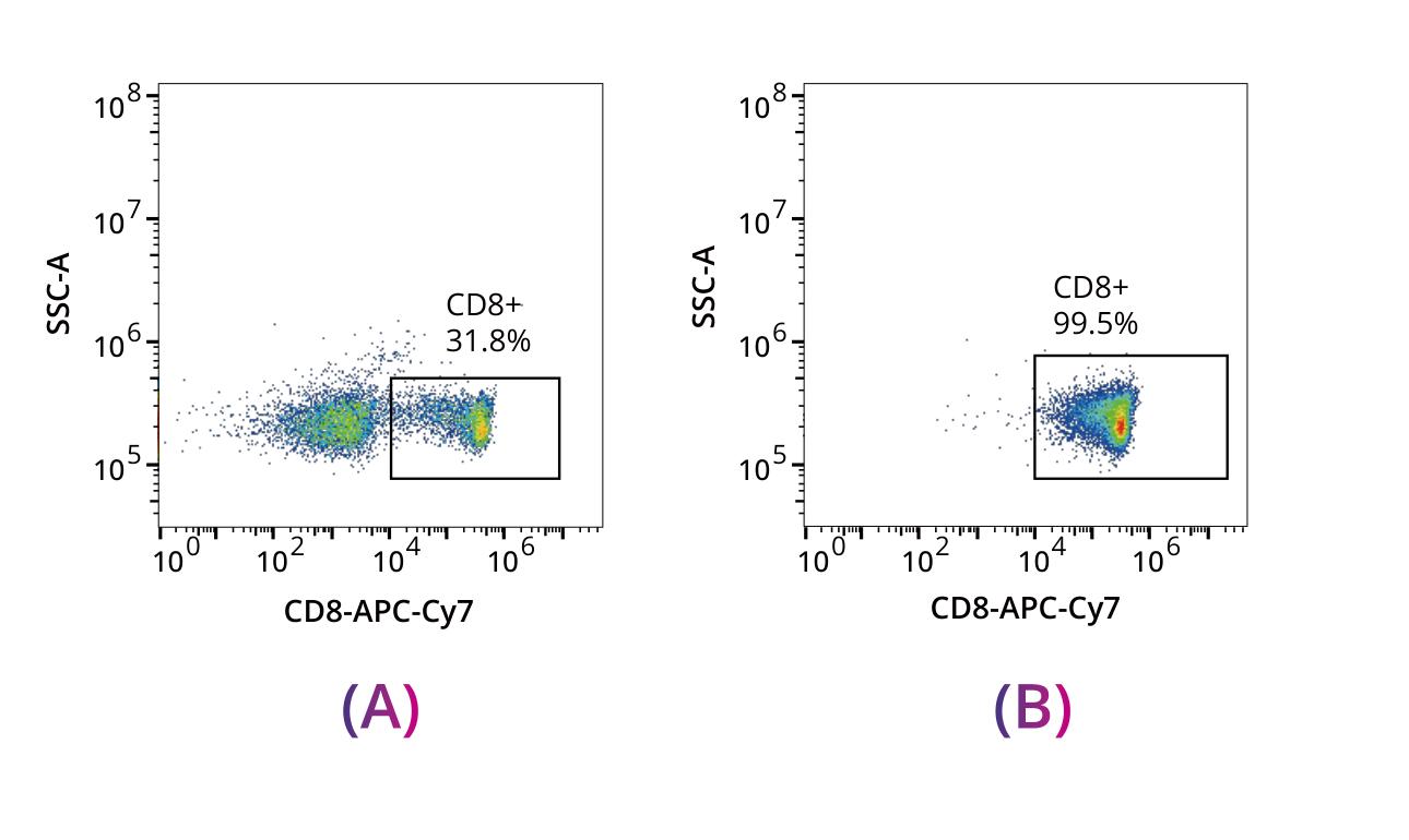 CD8+ T cell purity from 31.8% to 99.5% after positive magnetic selection