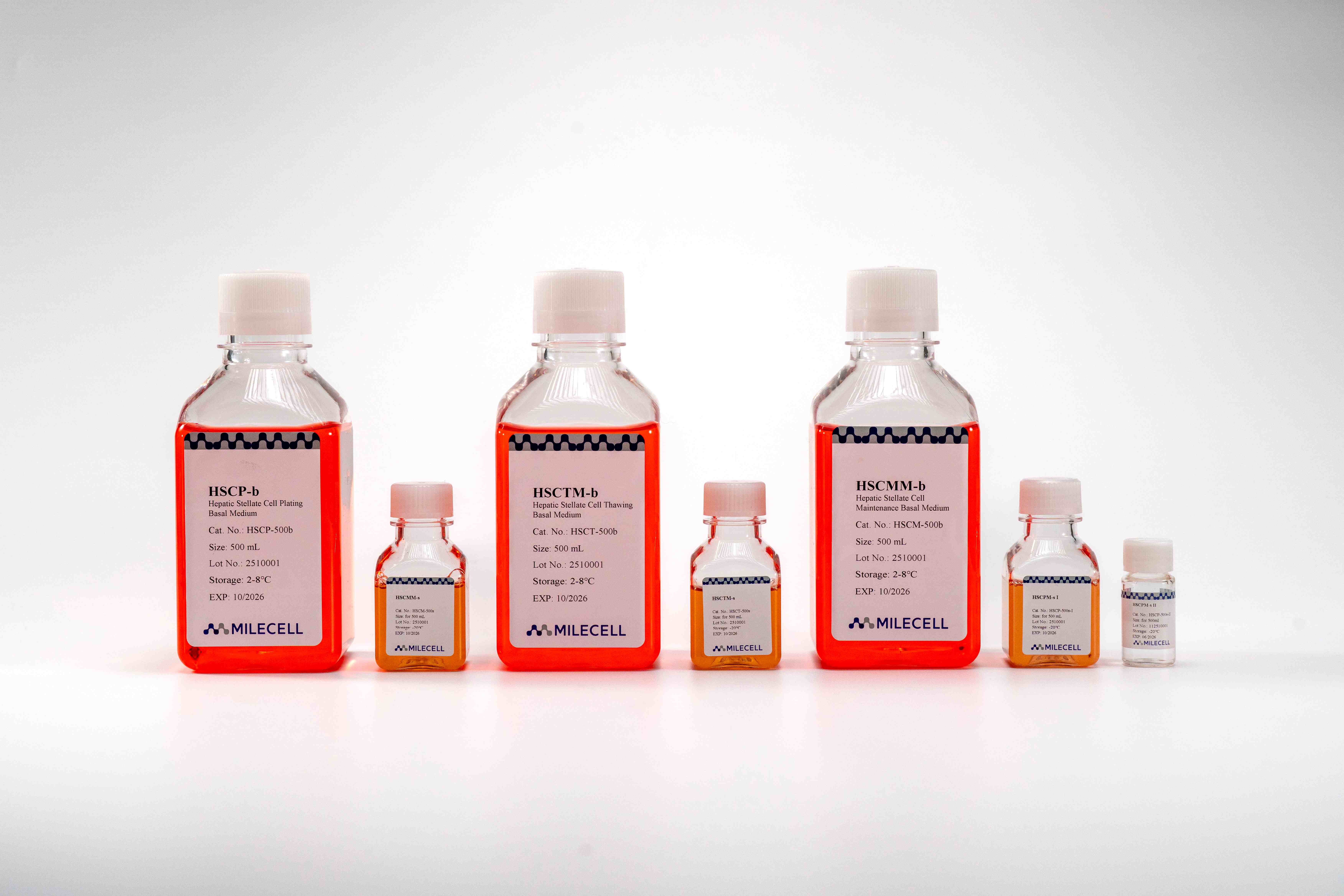 Hepatic Stellate Cell Culture Medium Kit