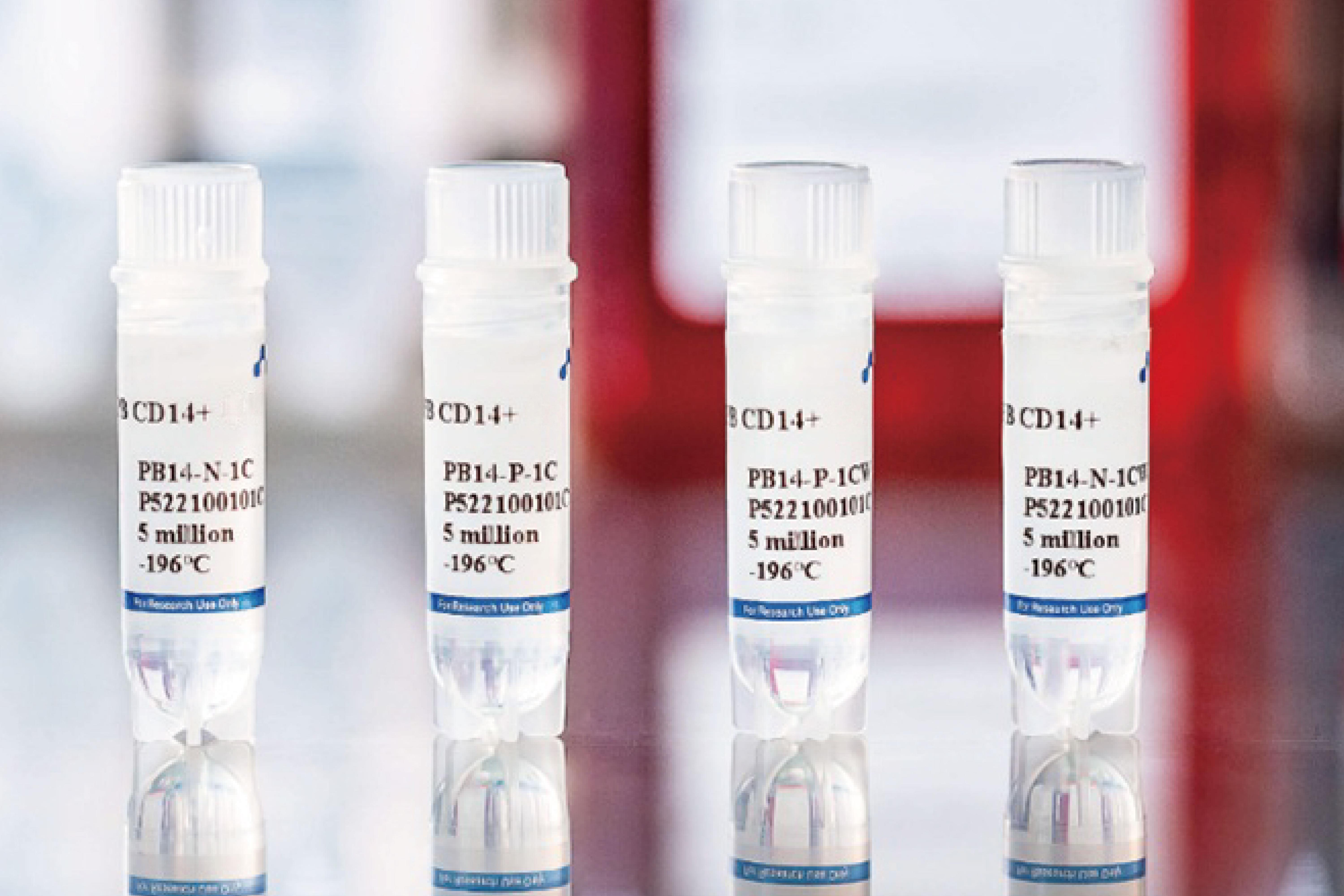 Human Peripheral Blood CD14+ Monocytes