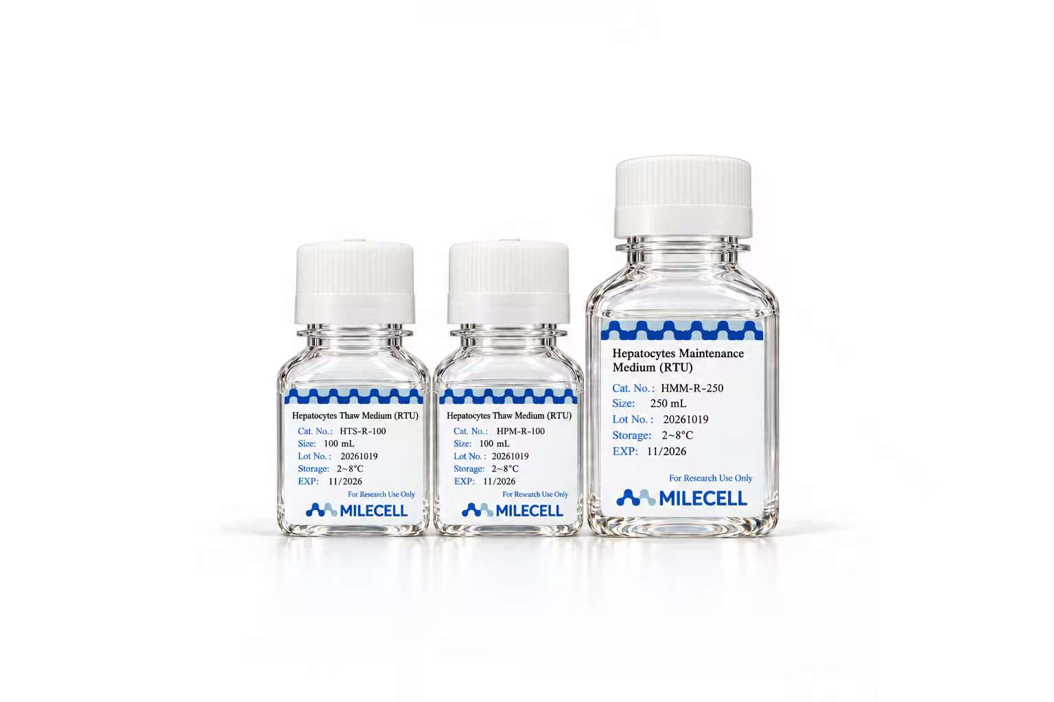 Human Hepatocyte Culture Medium (Ready to use)