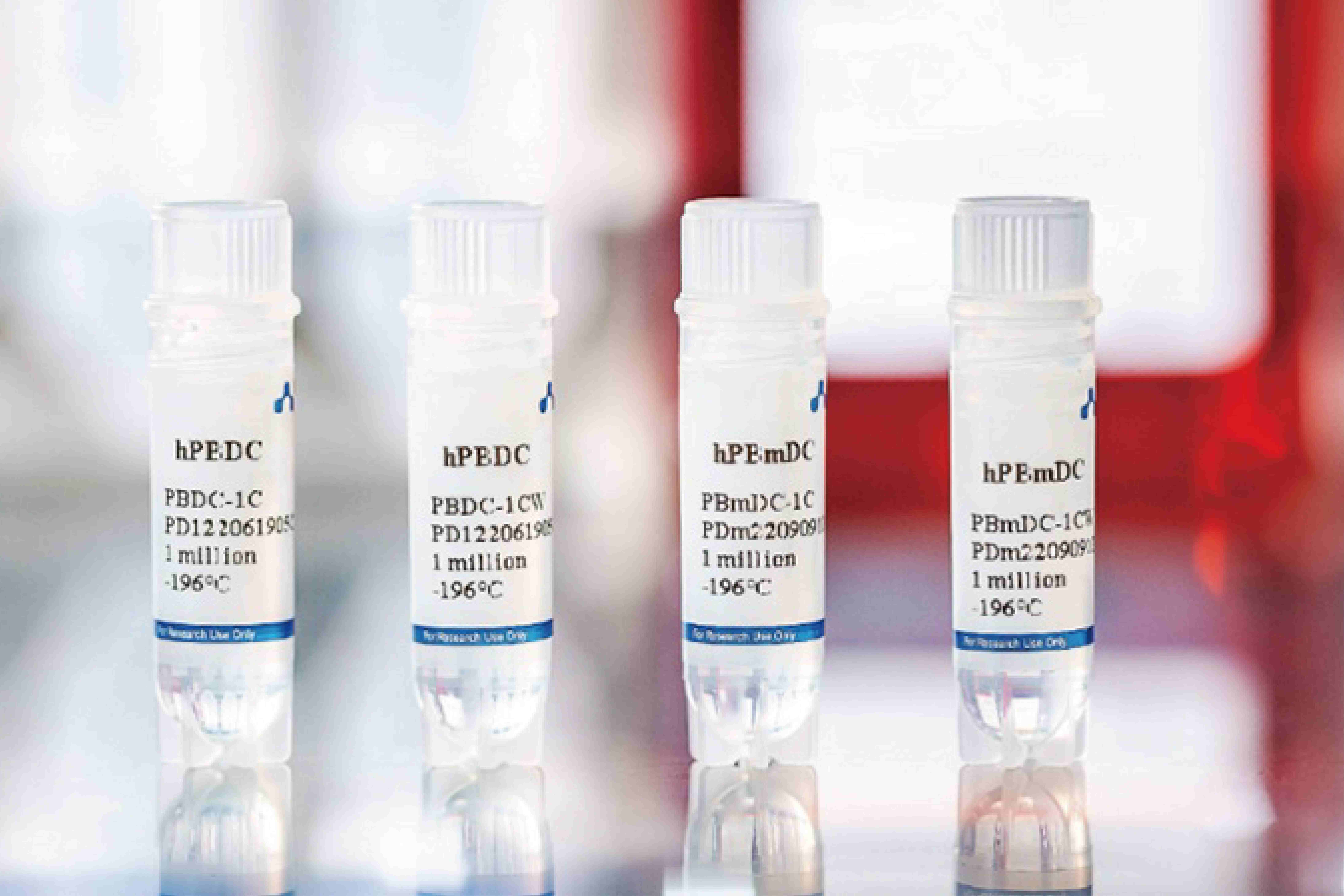 Human Peripheral Blood Dendritic Cells (DCs)