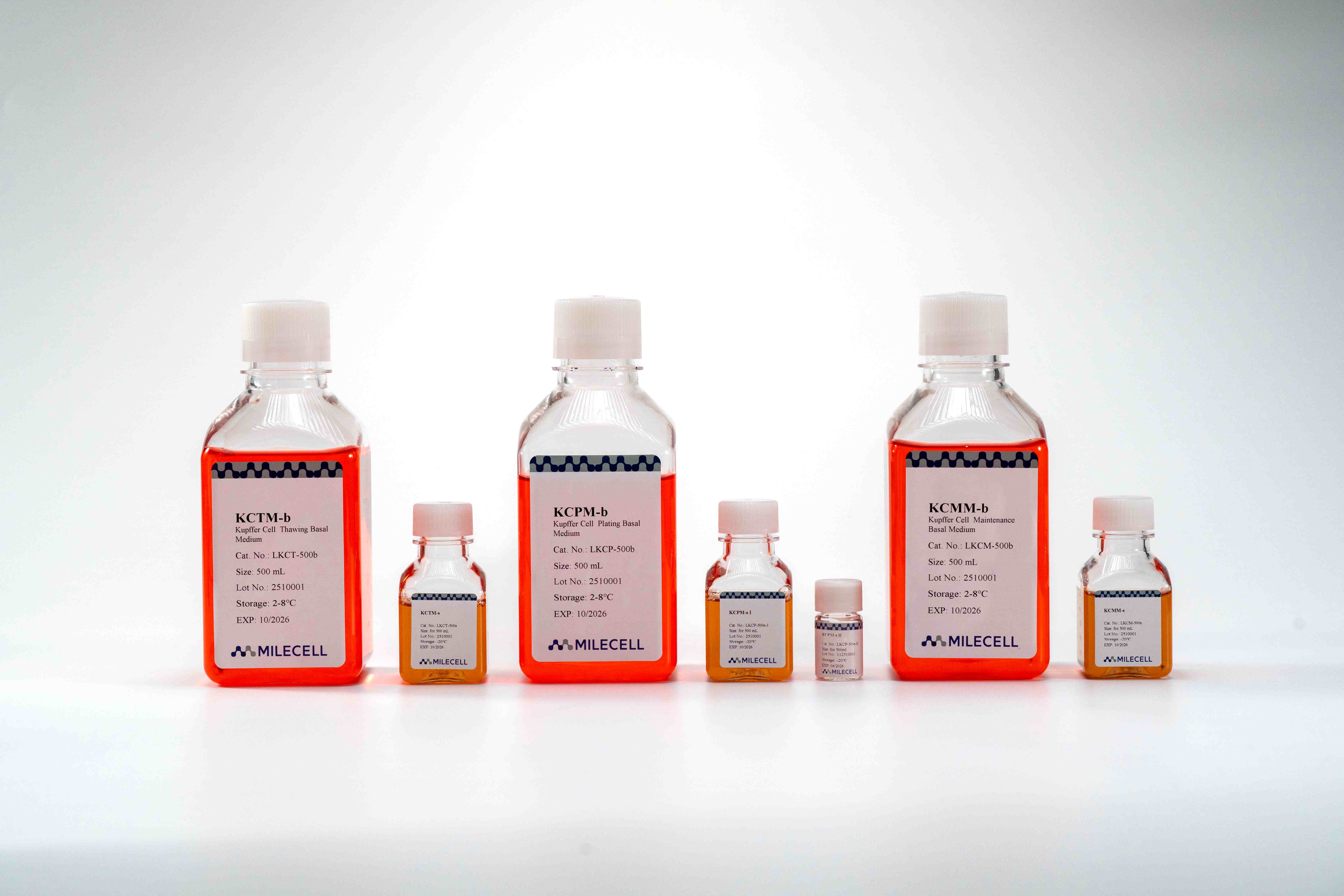 Kupffer Cell Culture Medium Kit