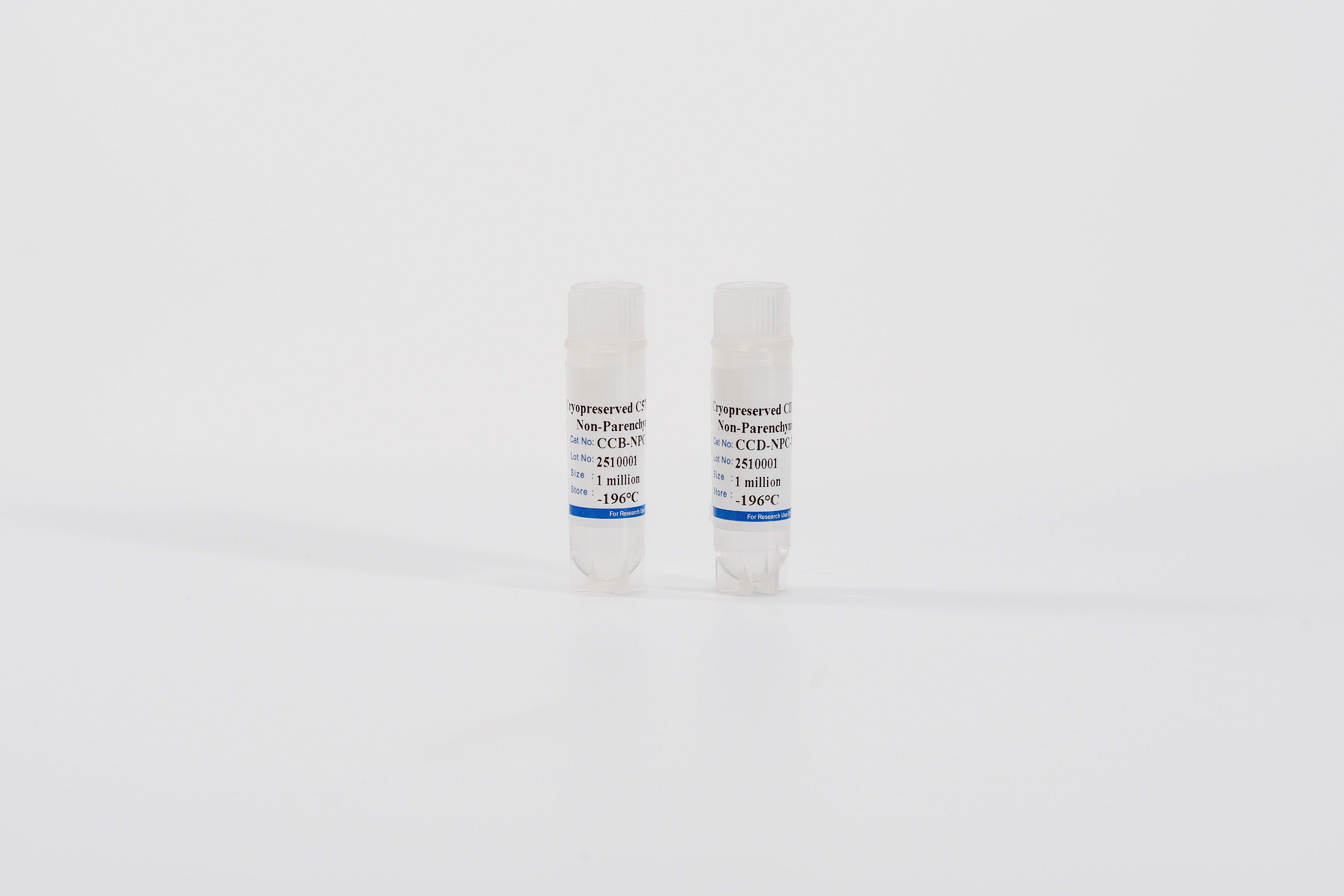 Mouse Non-Parenchymal Cells Mix