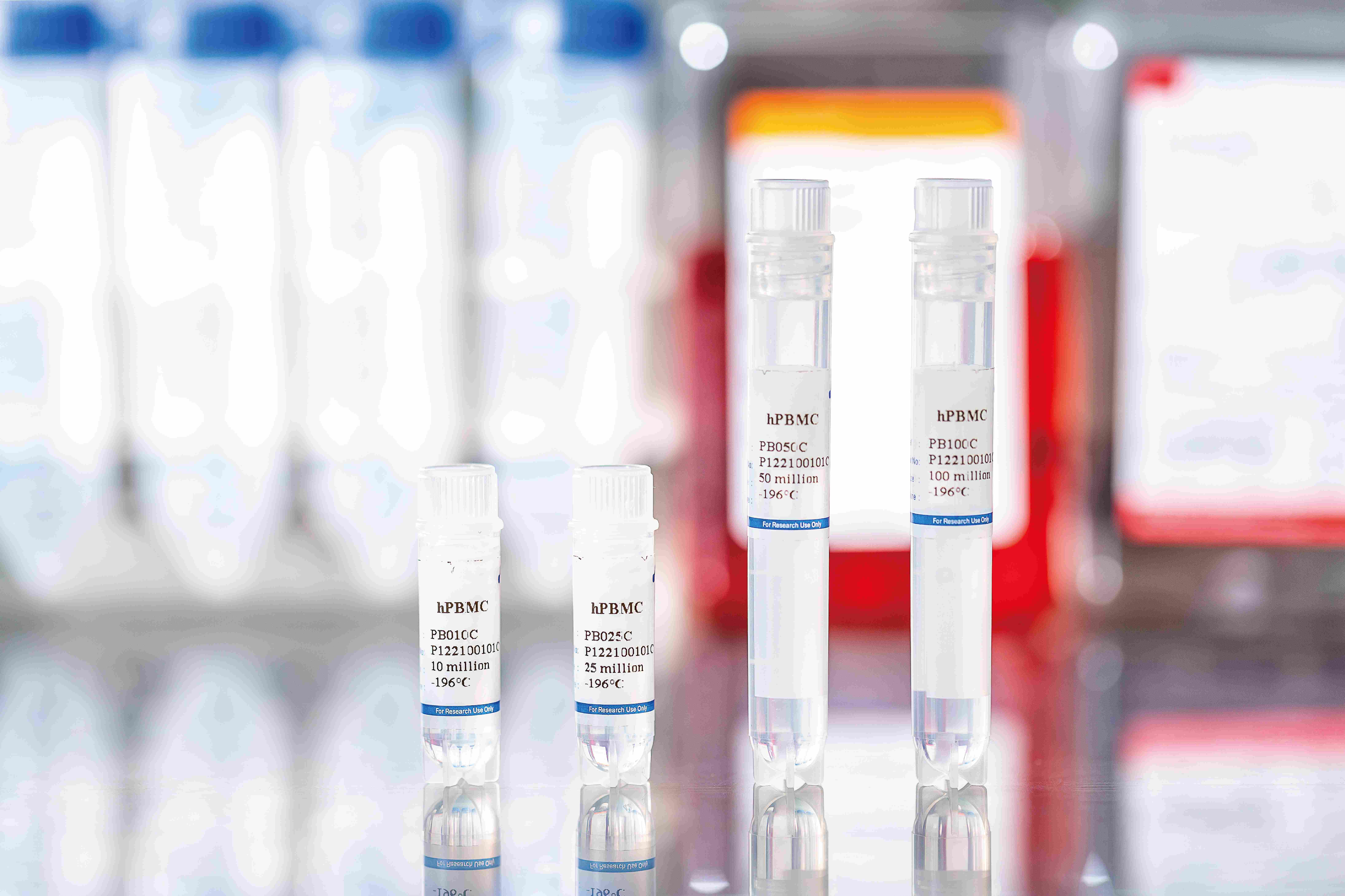 Human PBMCs