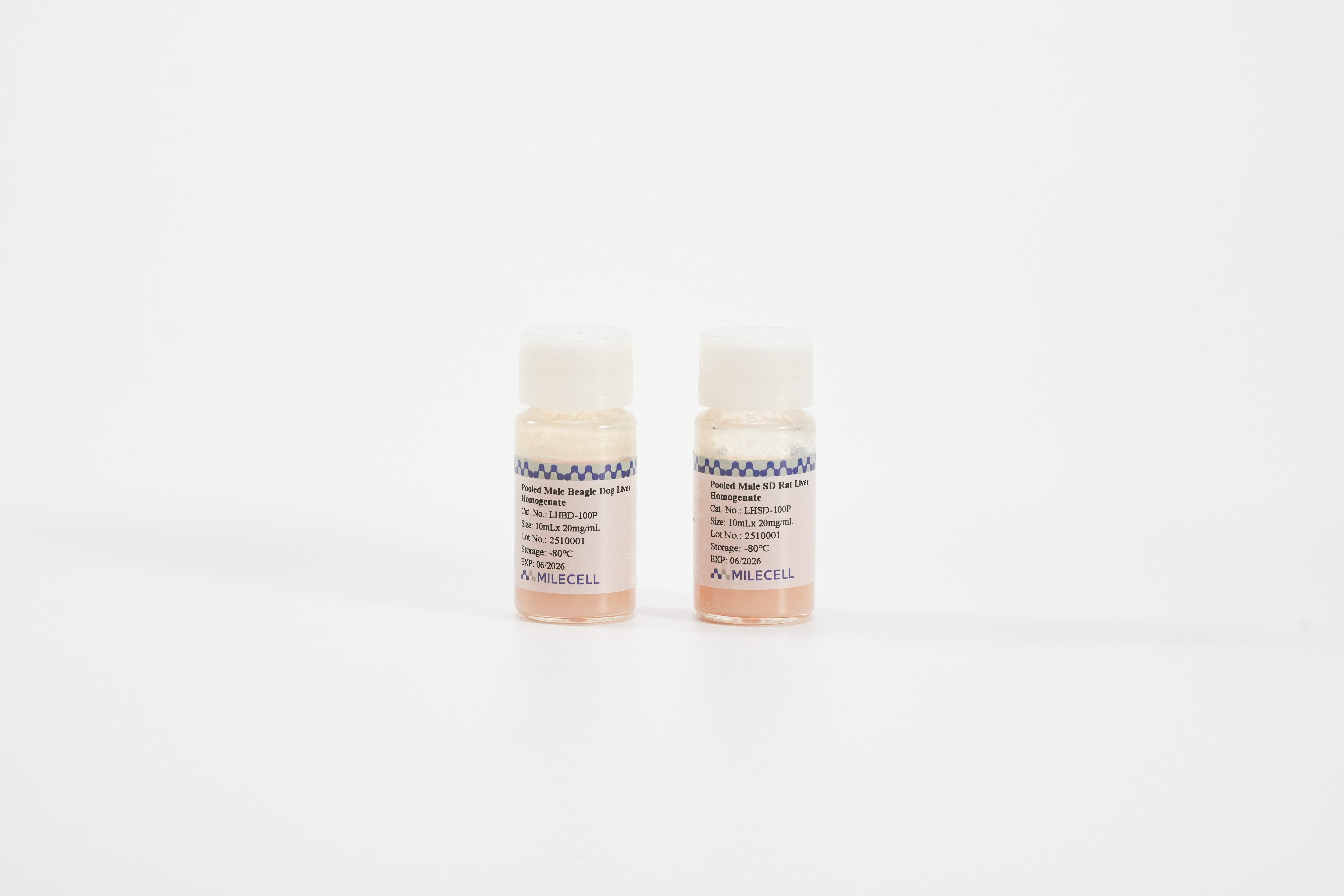 Minipig Tissue Homogenate