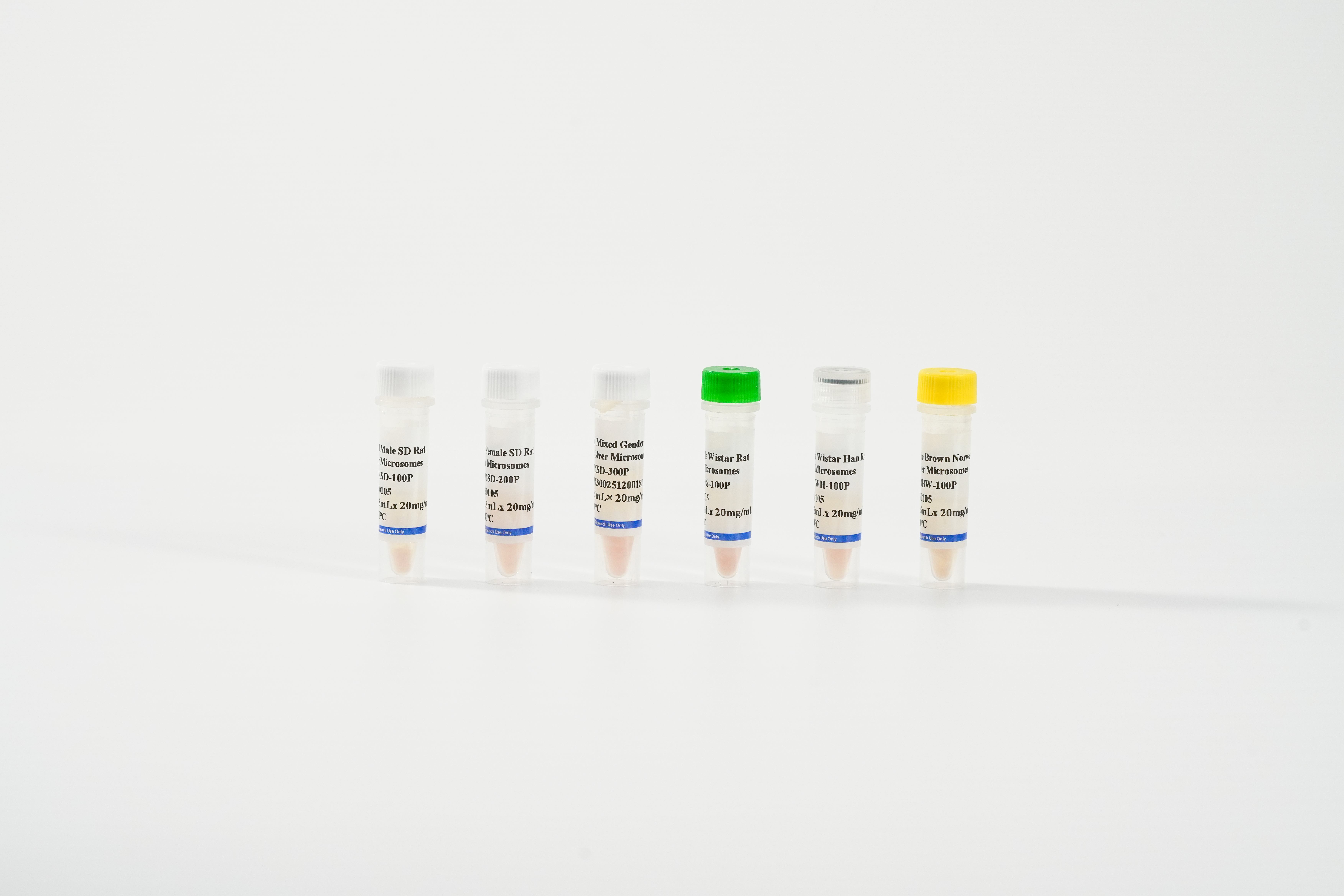 Rat Liver Microsomes