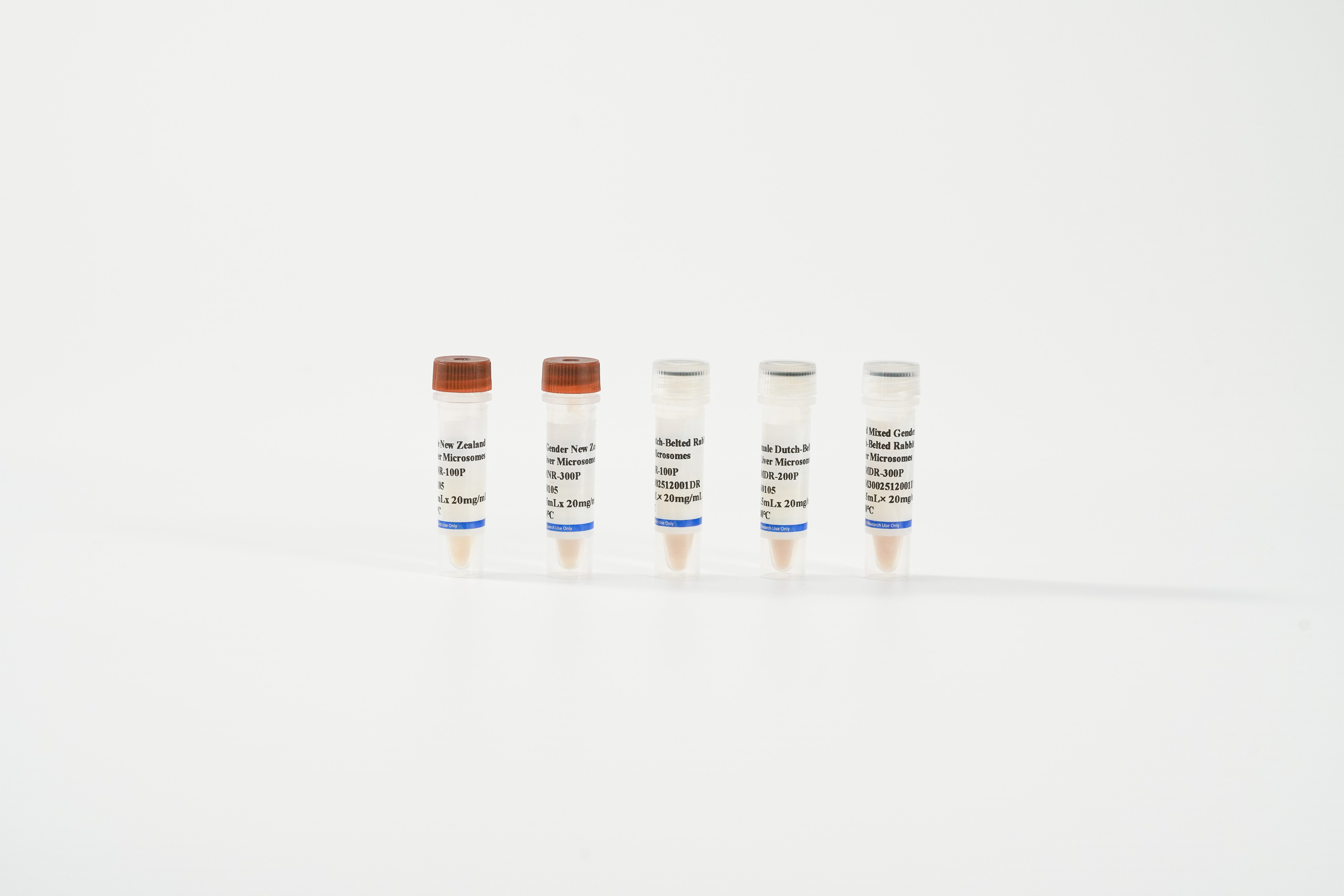 Rabbit Liver Microsomes