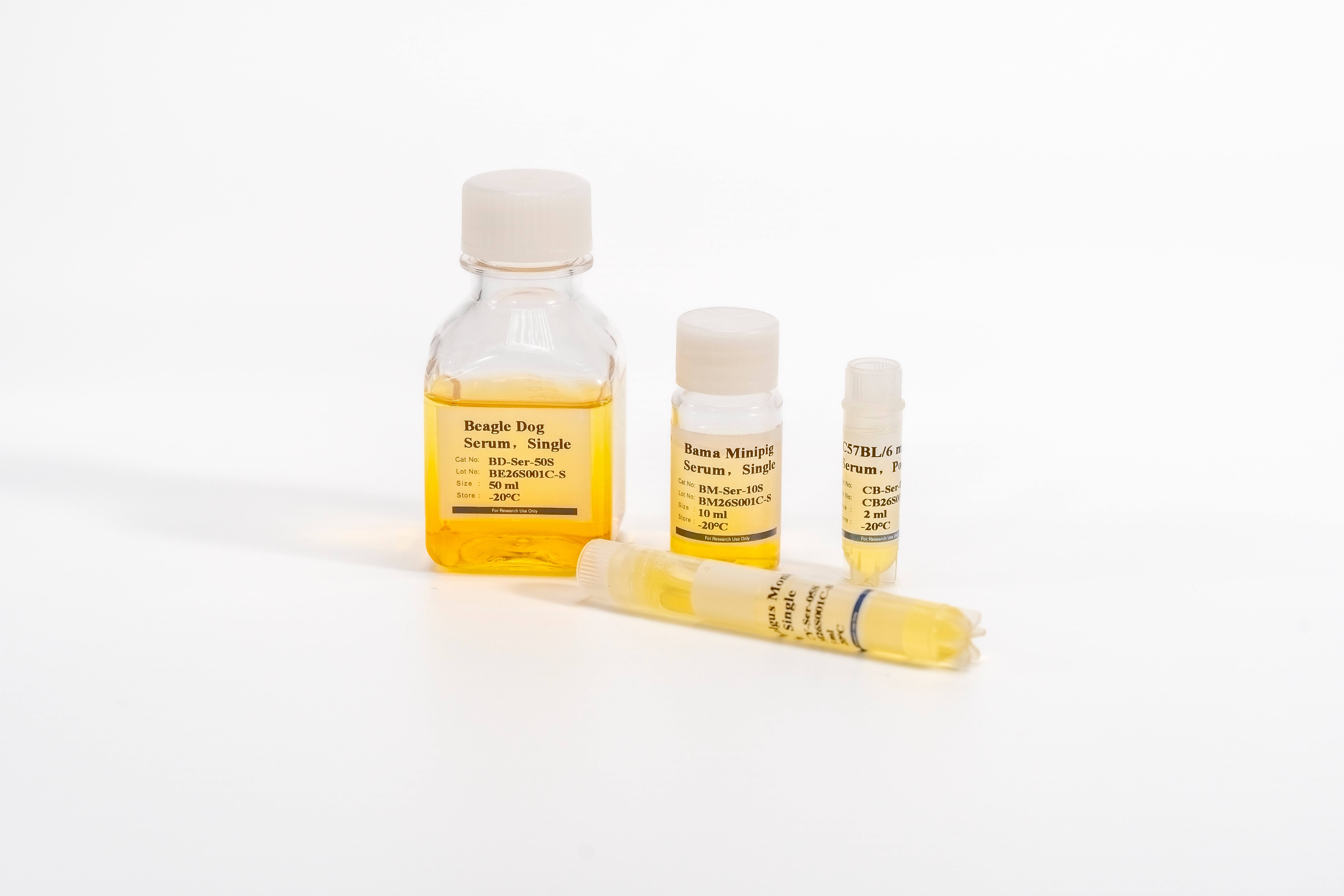 Non-Human Primate Cerebrospinal Fluid