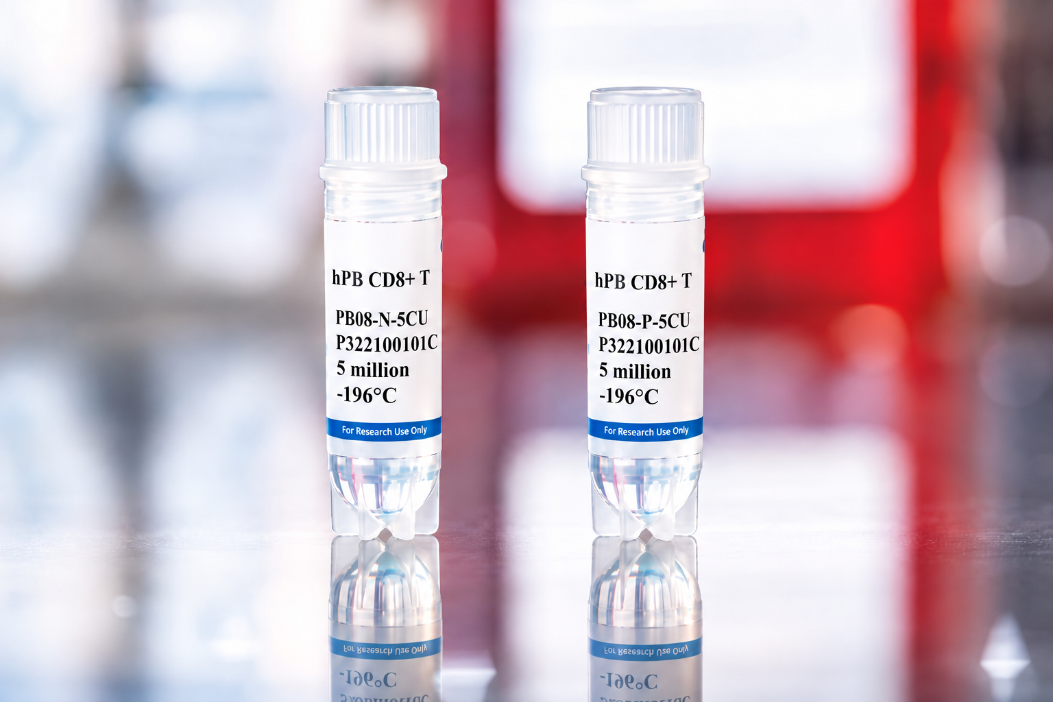 Human Peripheral Blood CD8+ T Cells
