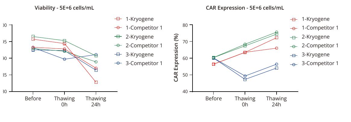 CD19 CAR-T post-thaw viability, CAR expression, and cell density at 5 million cells per mL
