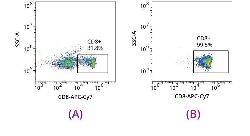 CD8 T cell positive selection purity 31.8 to 99.5 percent