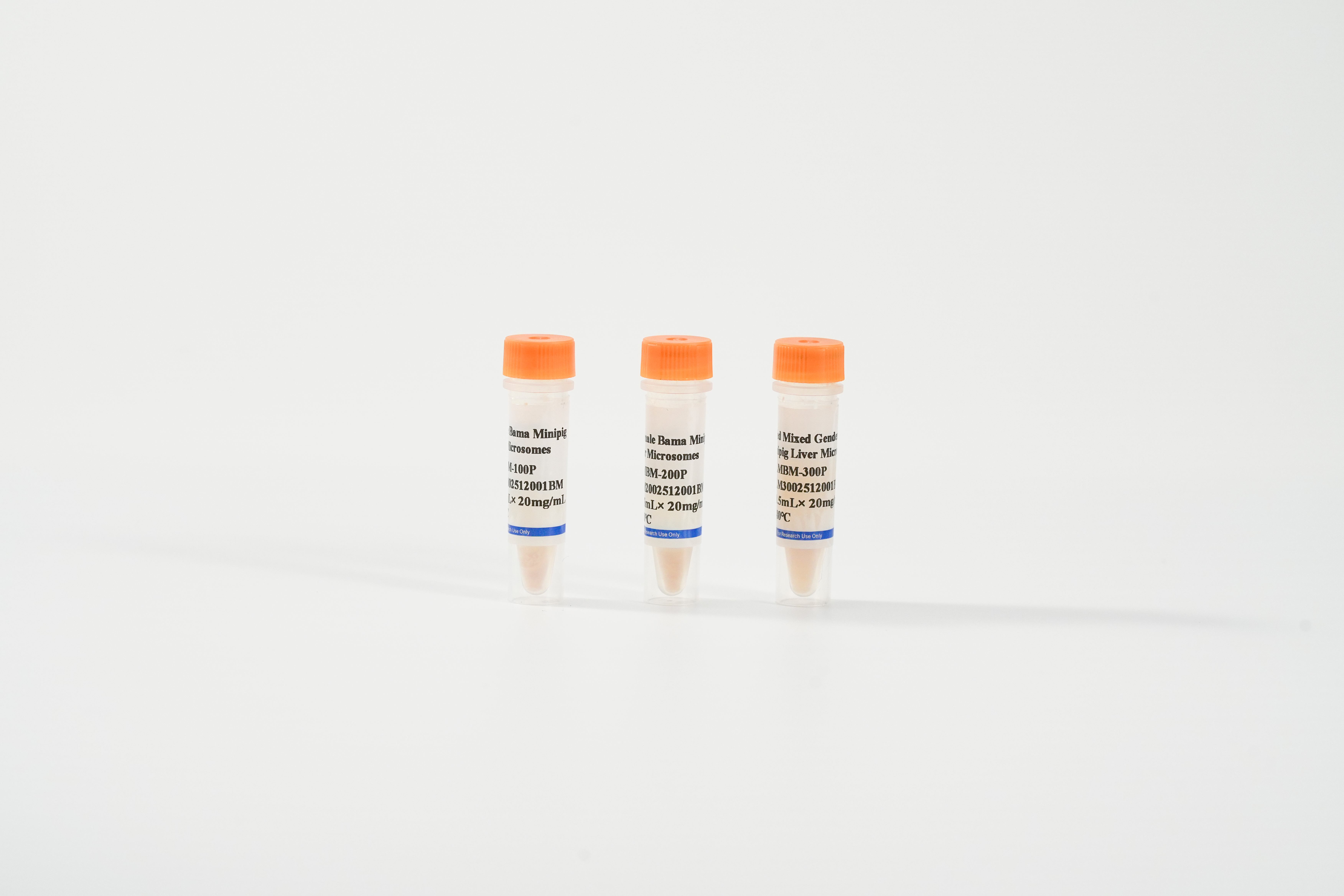 Minipig Liver Microsomes