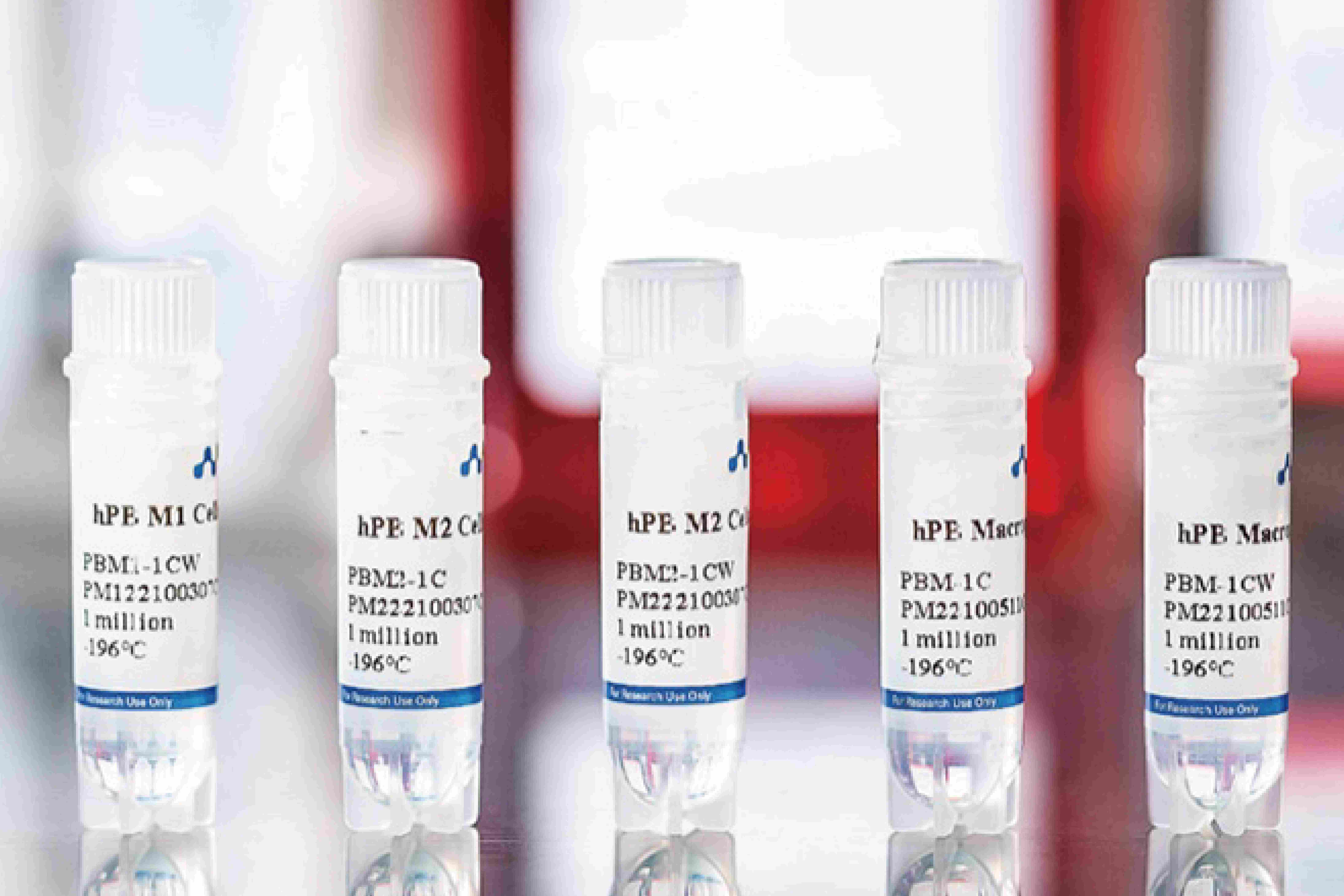 Human Peripheral Blood Macrophages