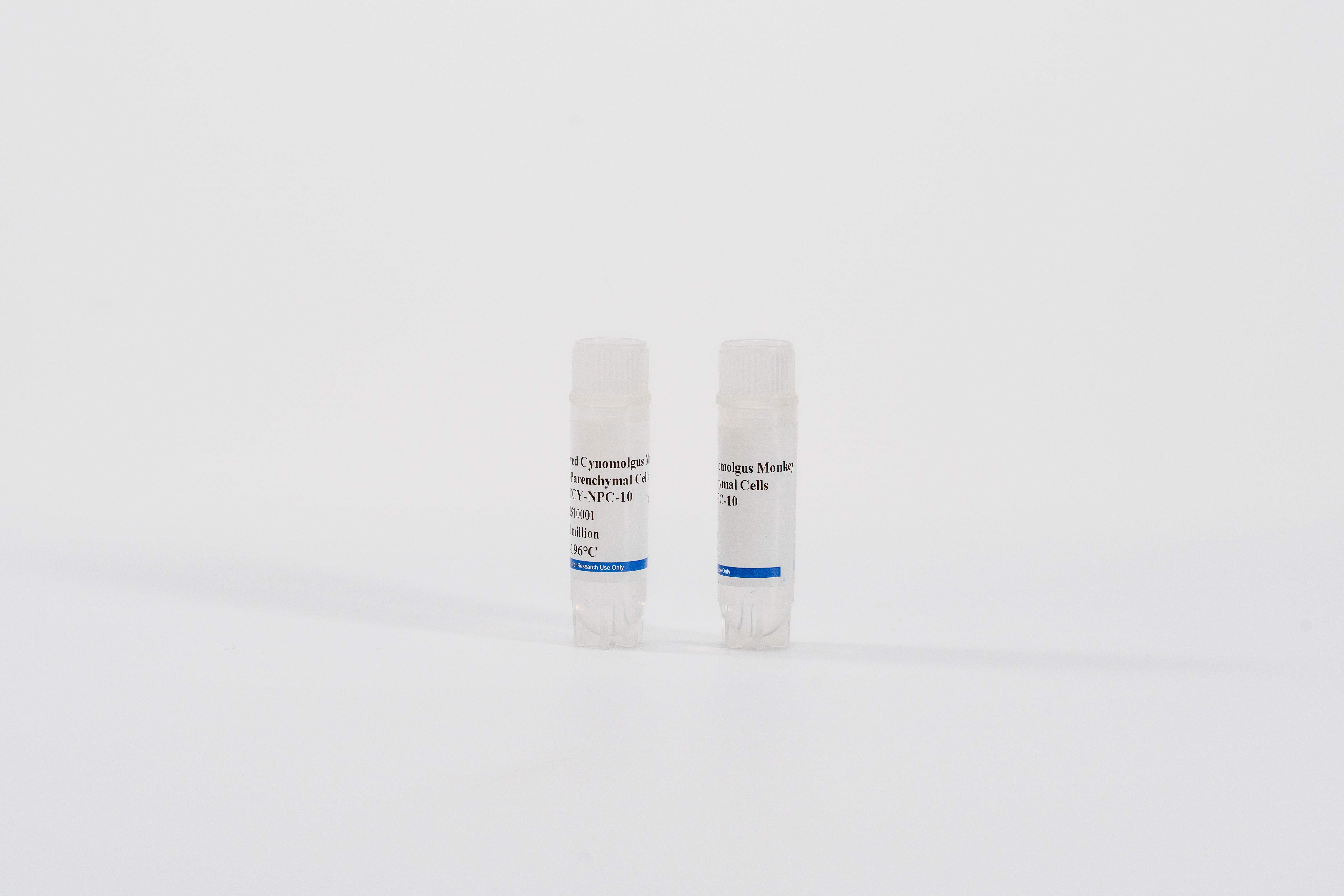 Monkey Non-Parenchymal Cells Mix