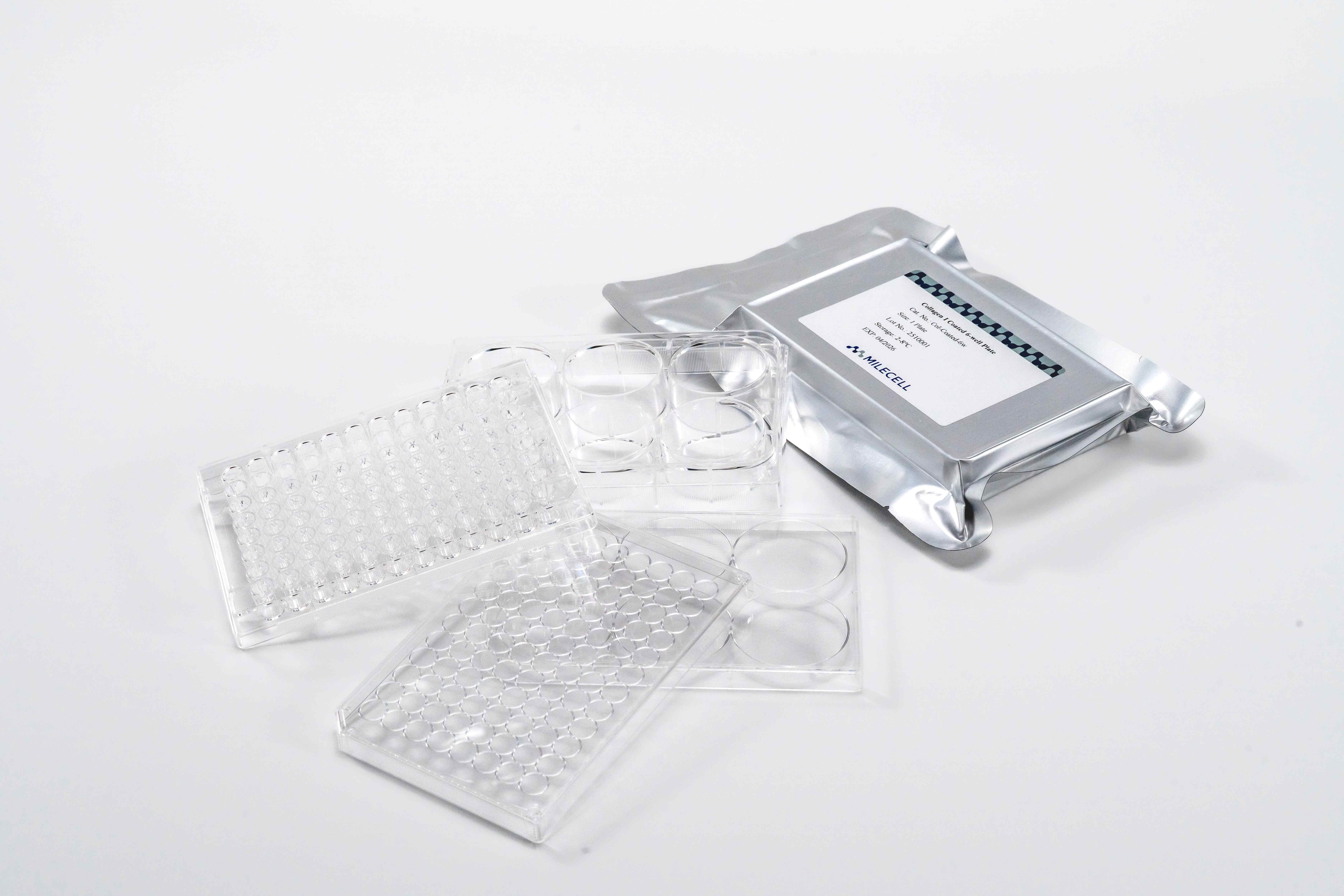 Collagen I Coated Plates