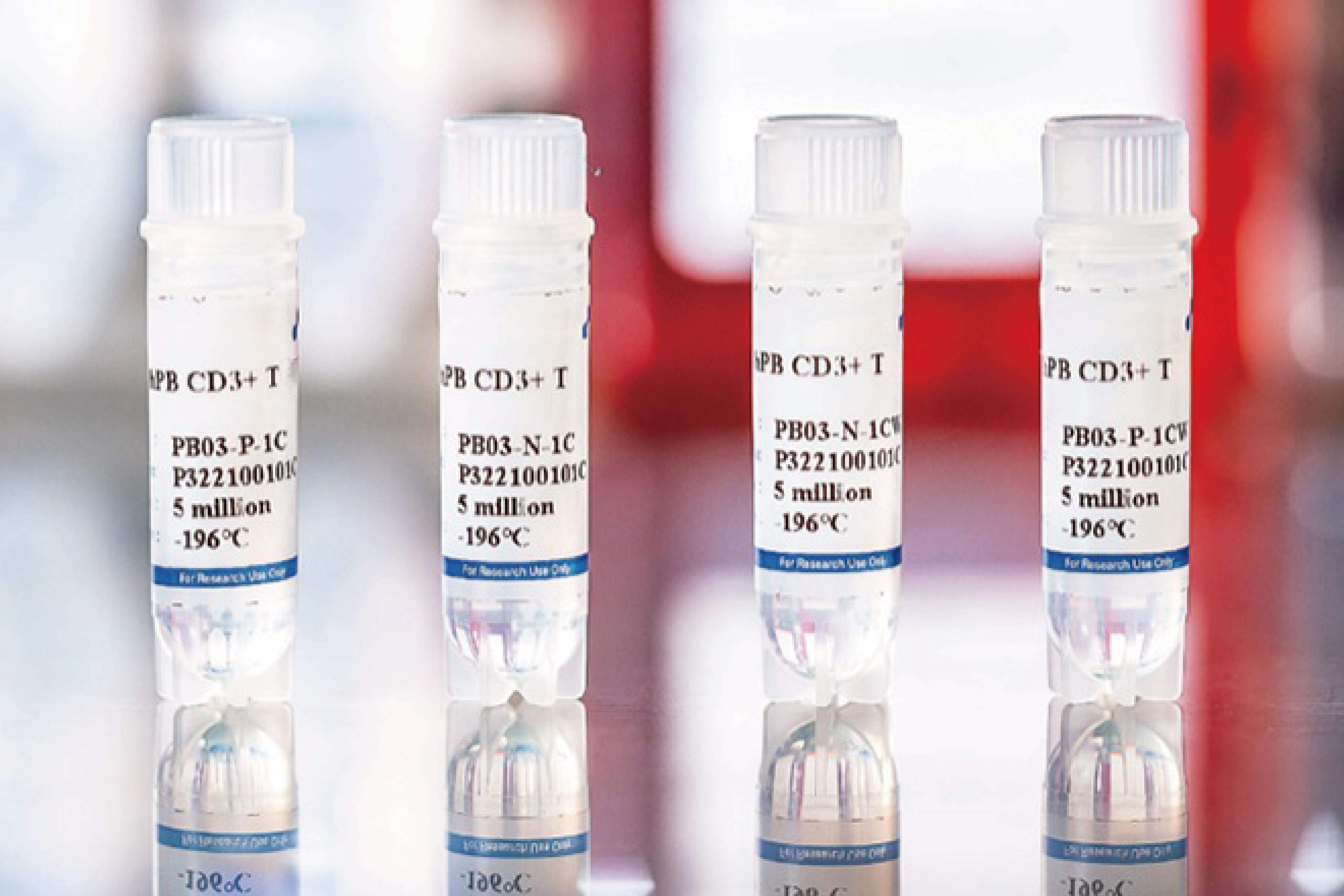 Human Peripheral Blood CD3+ T Cells