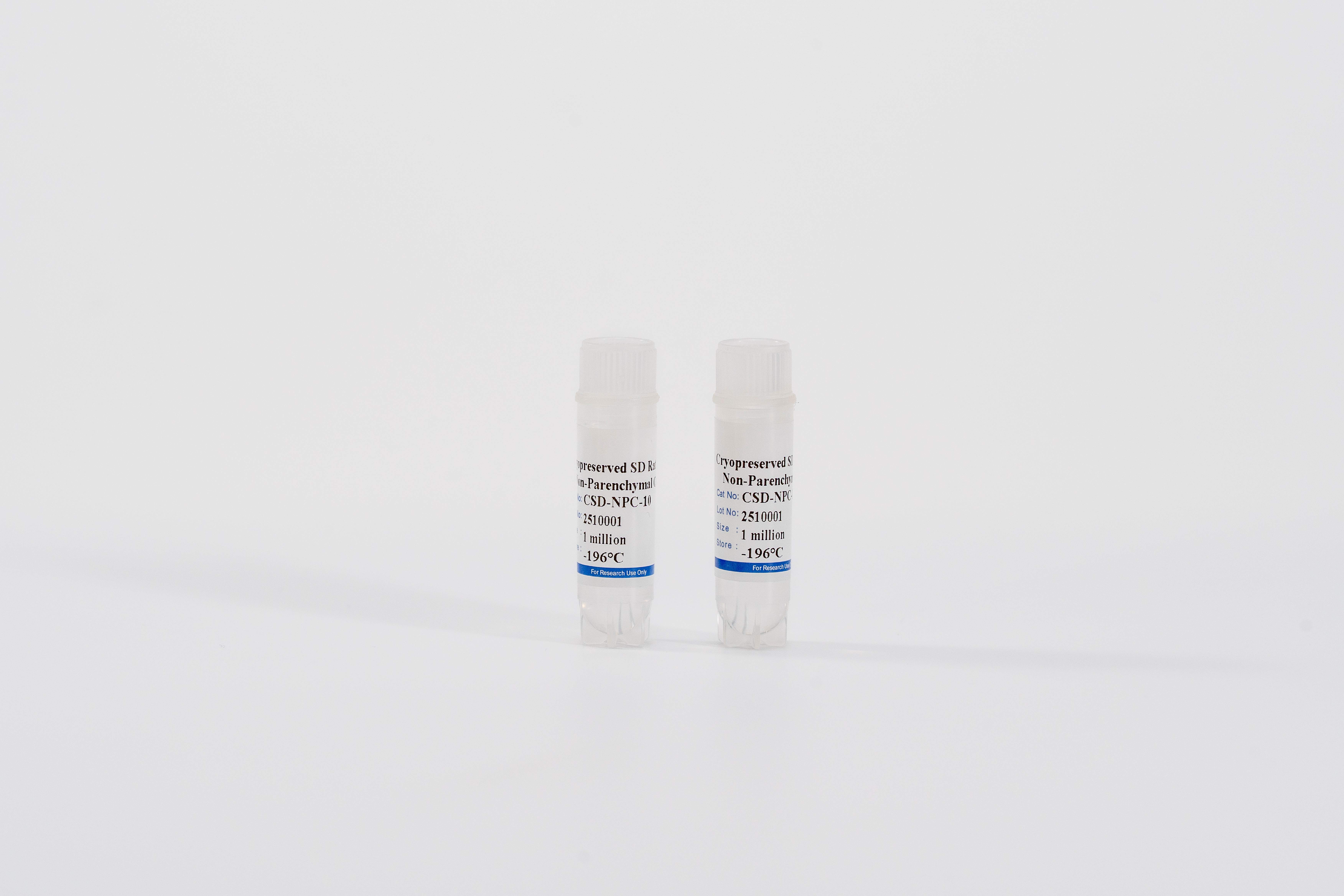 Rat Non-Parenchymal Cells Mix