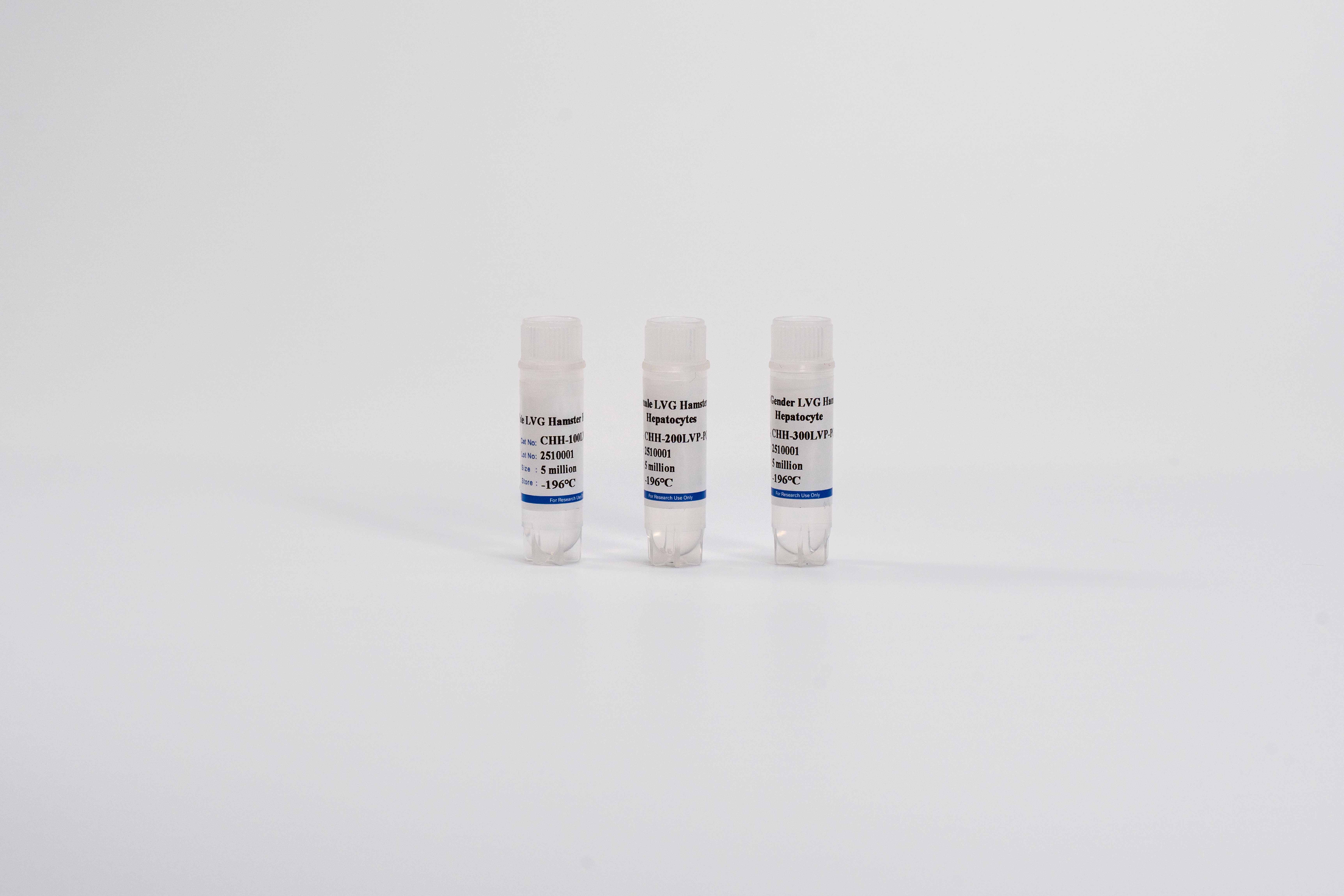 Hamster Plateable Hepatocytes