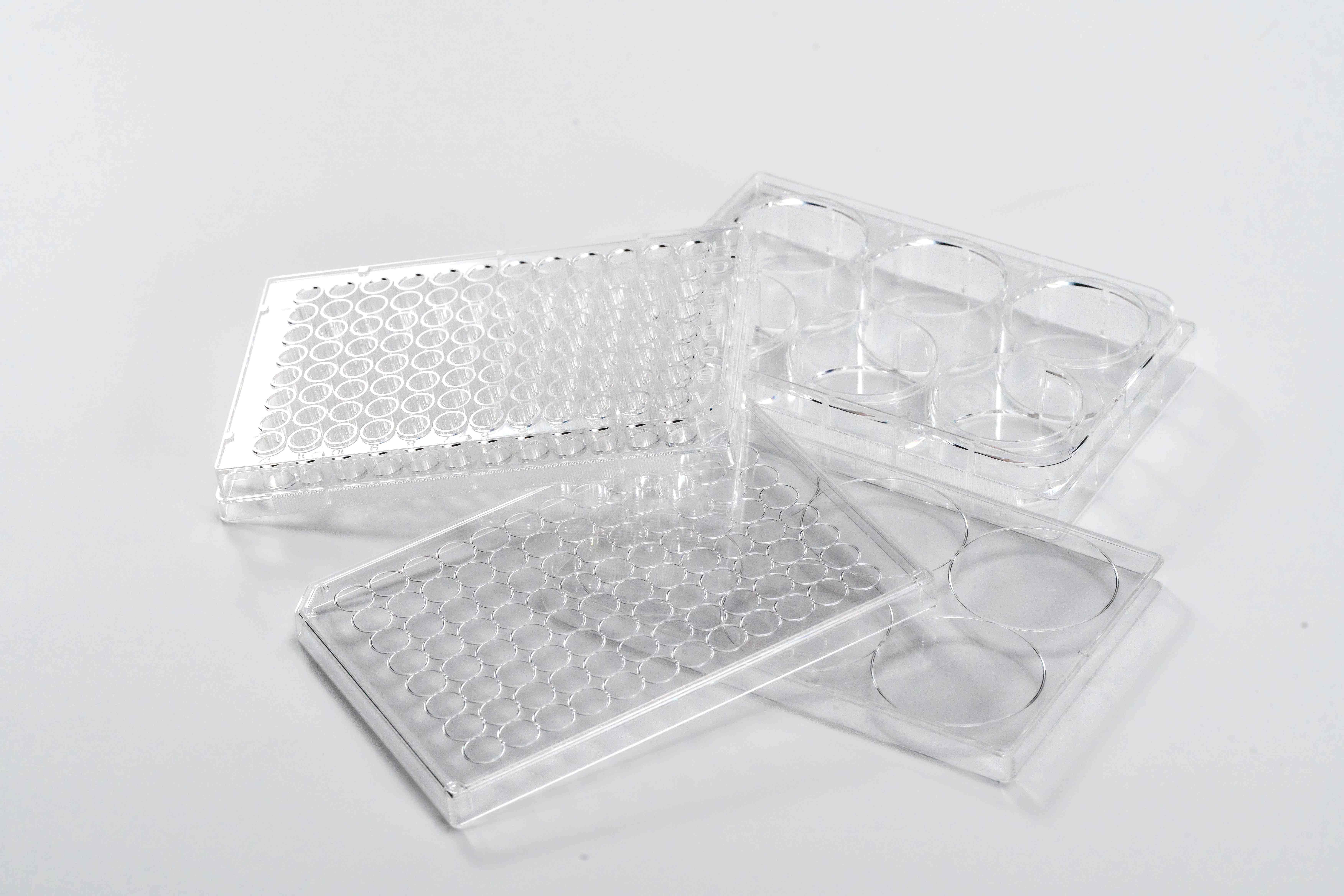 Collagen I Coated Plates