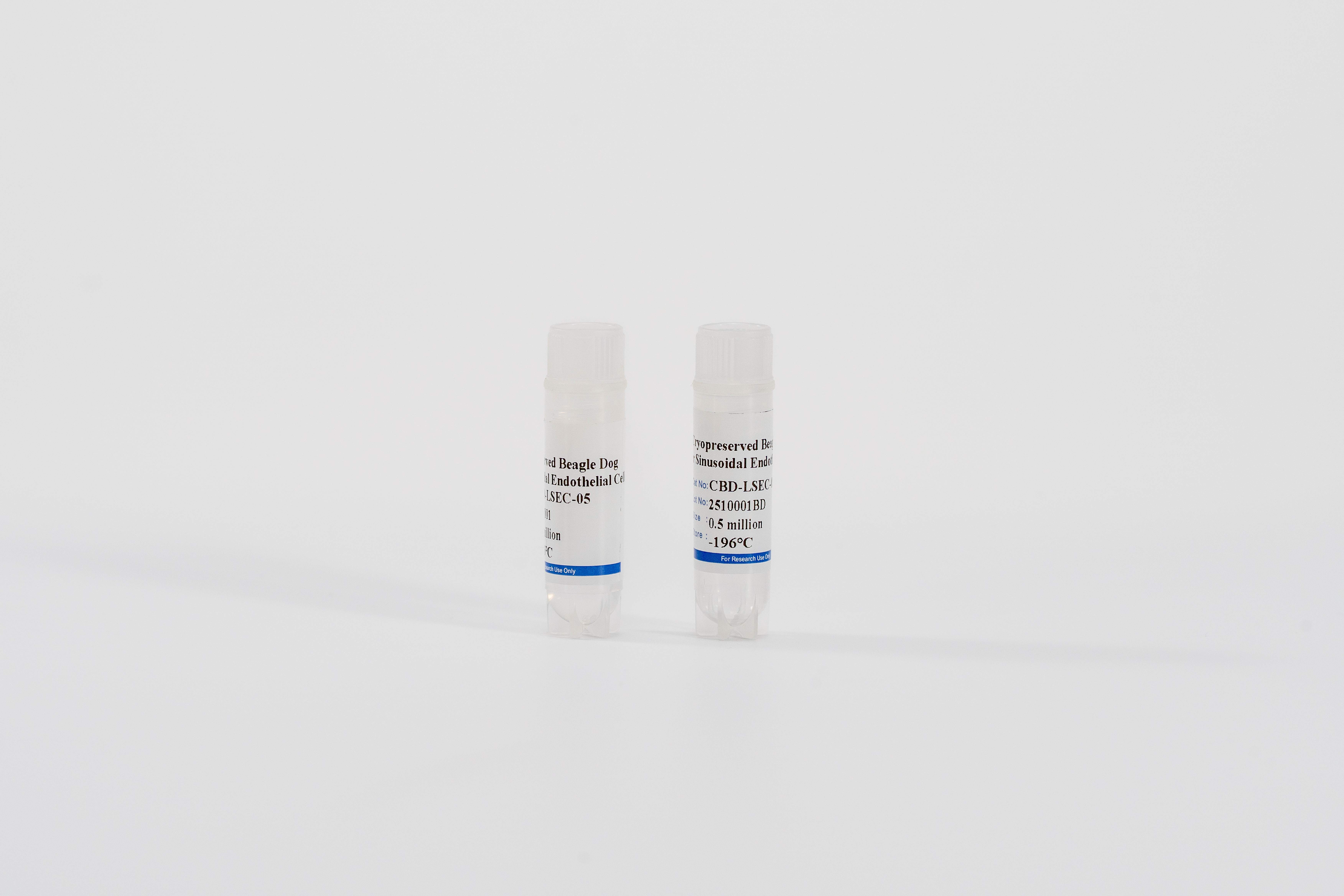 Dog Liver Sinusoidal Endothelial Cells