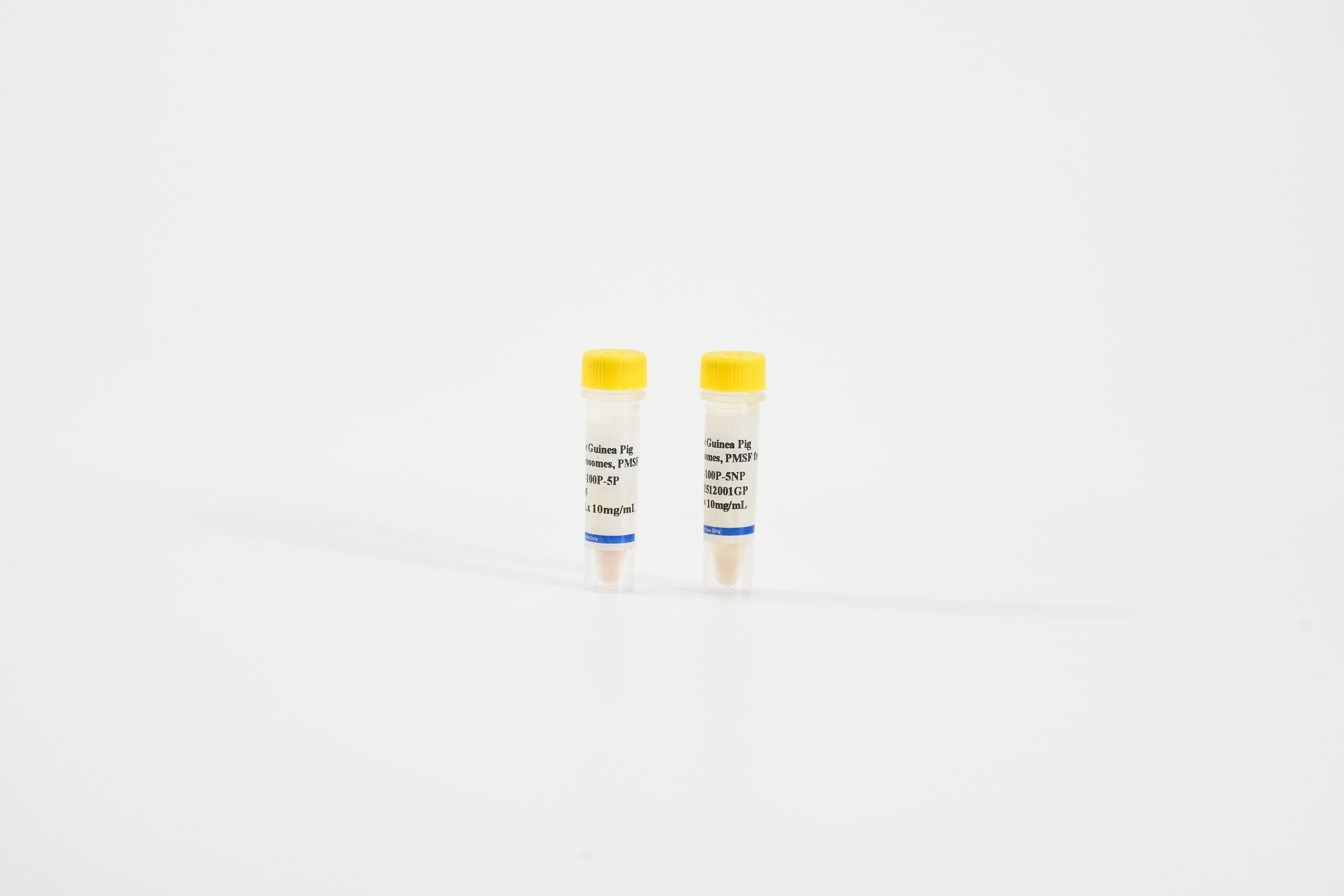 Guinea Pig Intestine Microsomes
