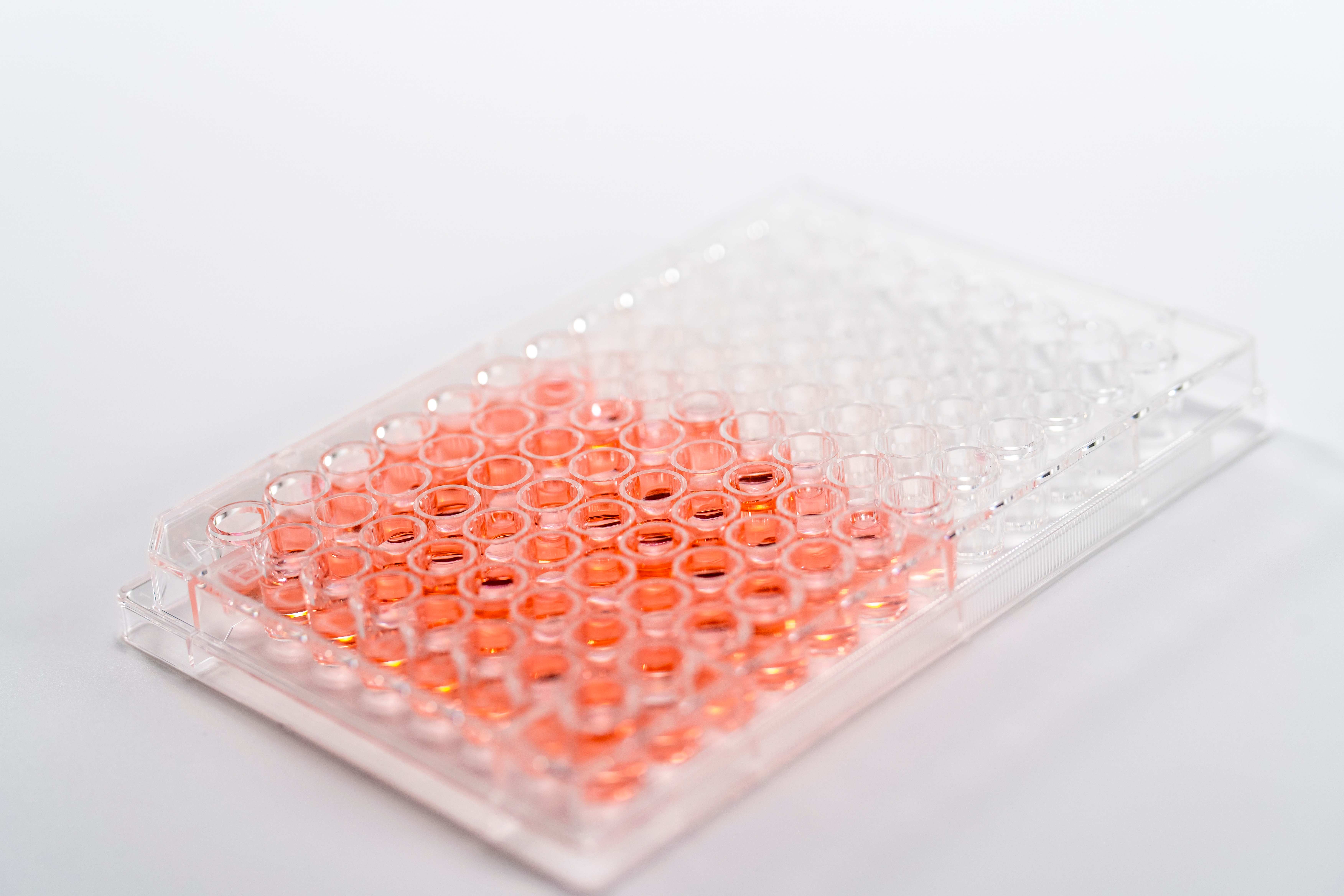 Collagen I Coated Plates