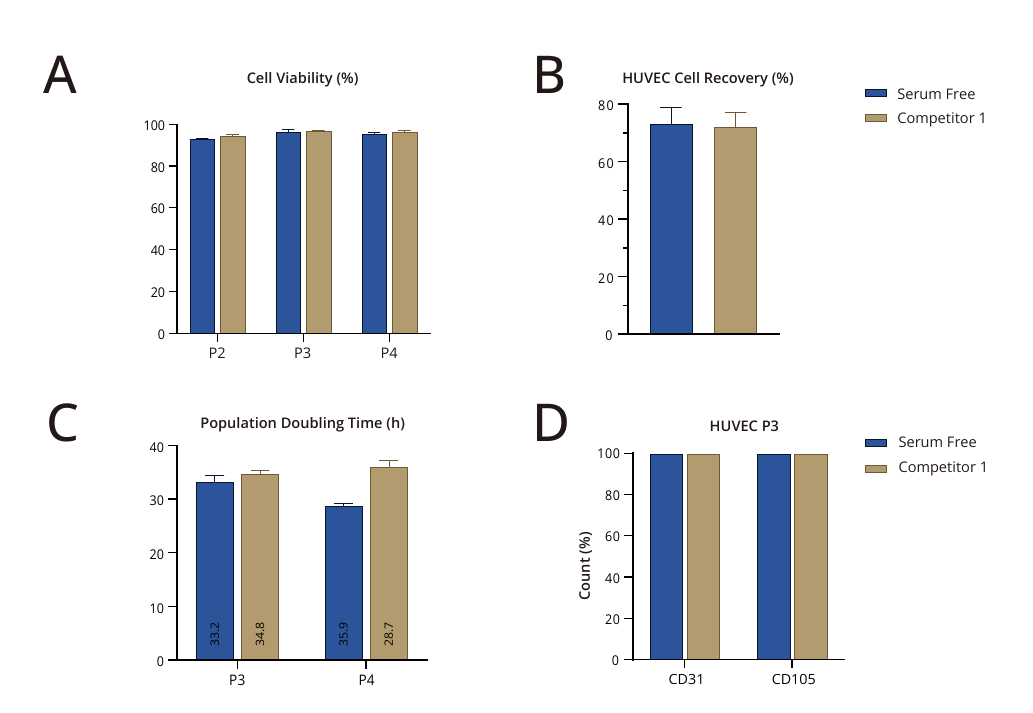 HUVEC post-thaw performance with serum-free cryopreservation medium
