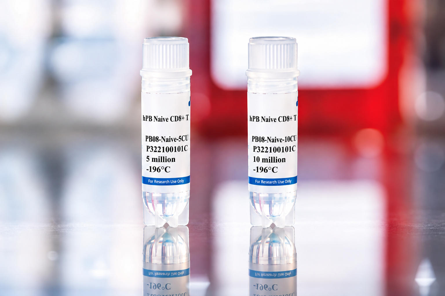 Human Peripheral Blood Naive CD8+ T Cells