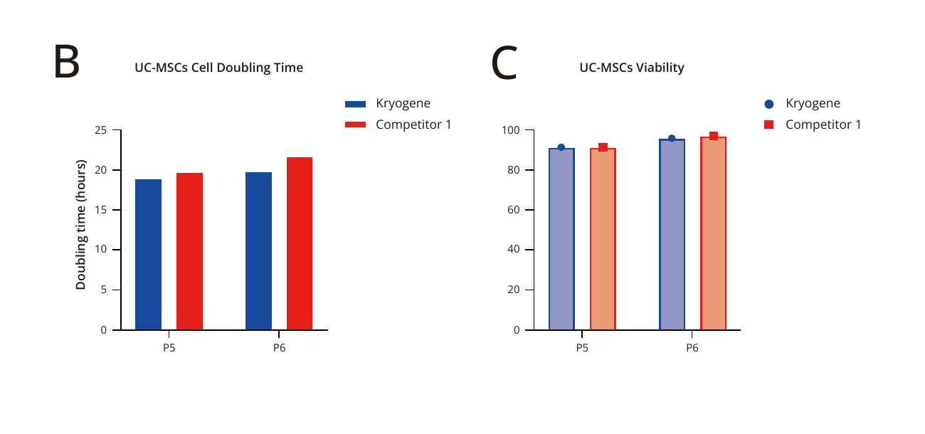 UC-MSC post-thaw viability and cell-doubling time with CGT cryopreservation medium