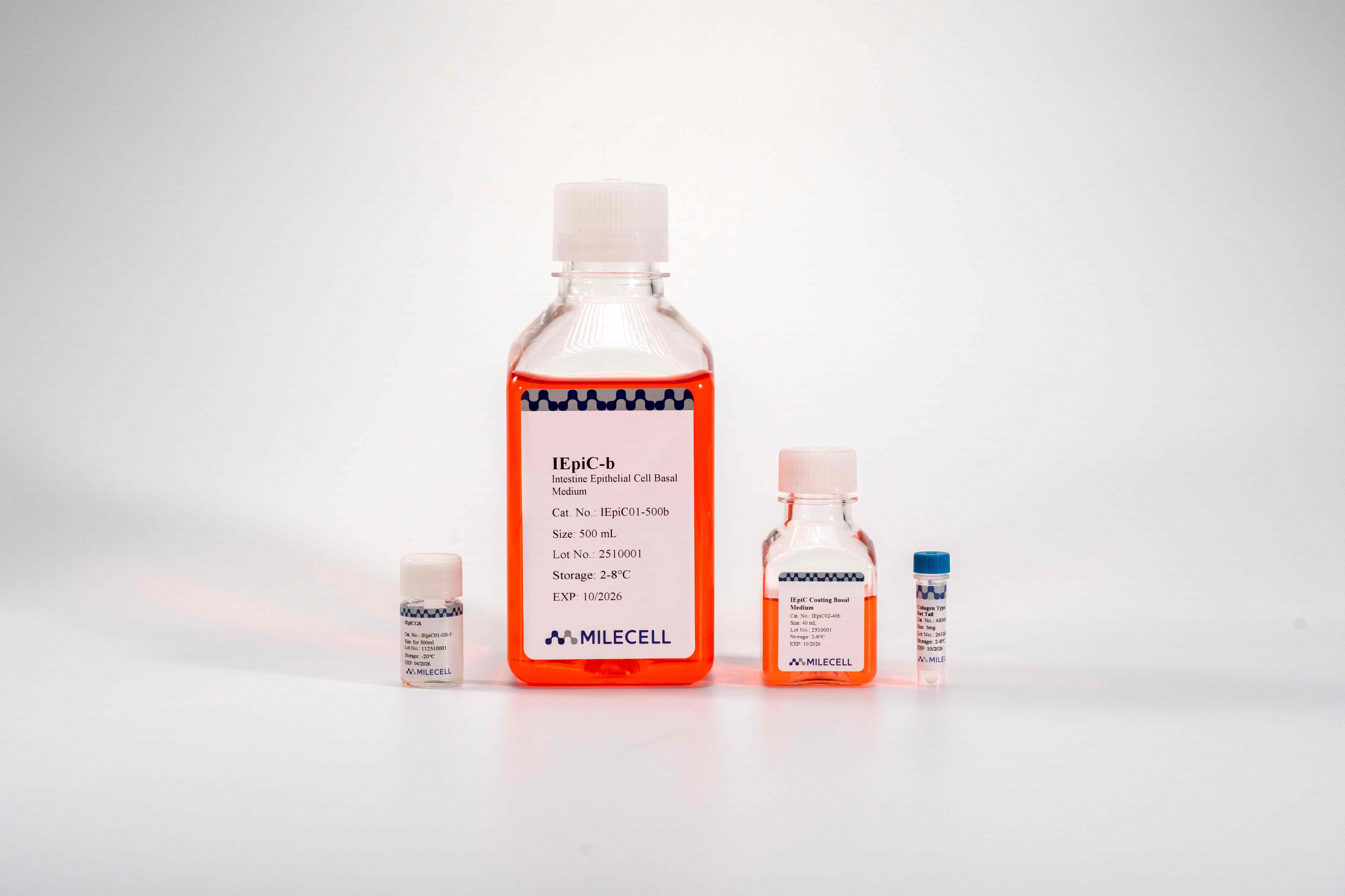 Intestine Epithelial Cell Medium Kit