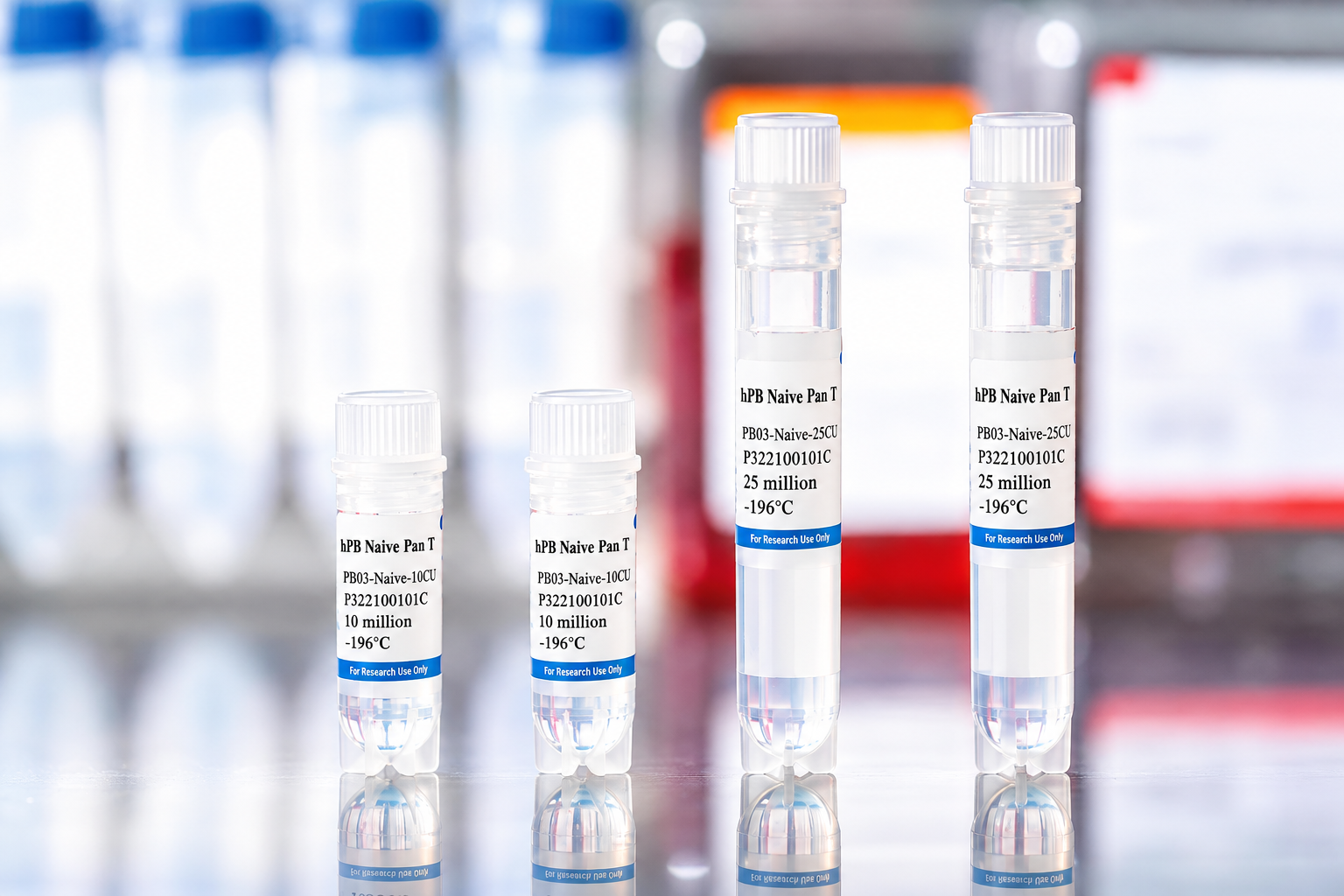 Human Peripheral Blood Naive Pan T Cells
