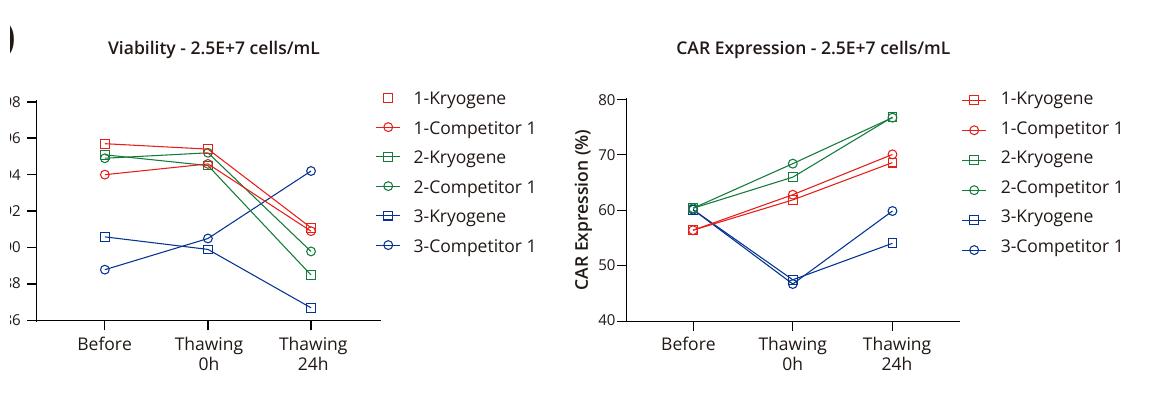 High-density CD19 CAR-T cryopreservation performance at 25 million cells per mL