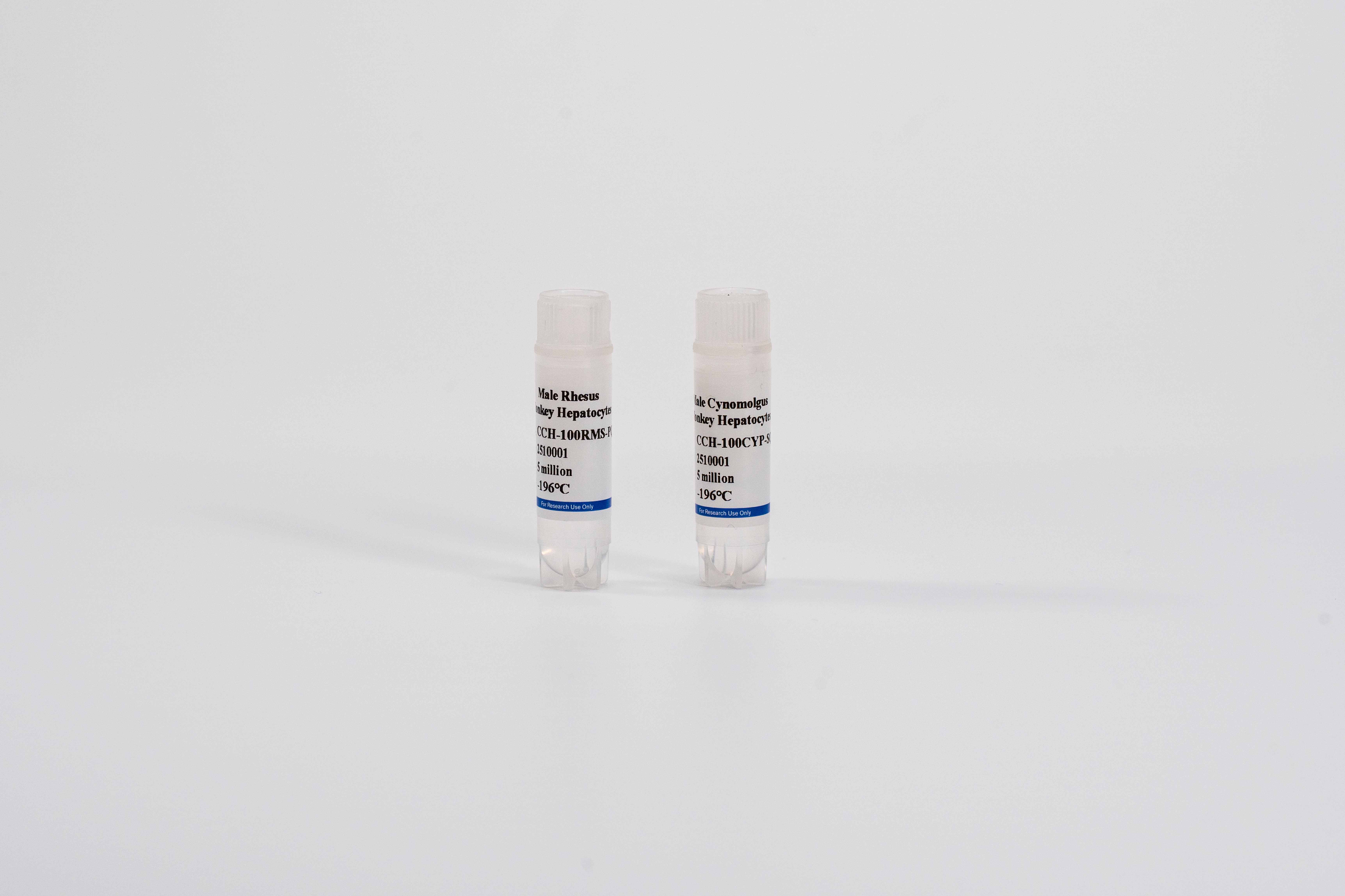 Monkey Plateable Hepatocytes