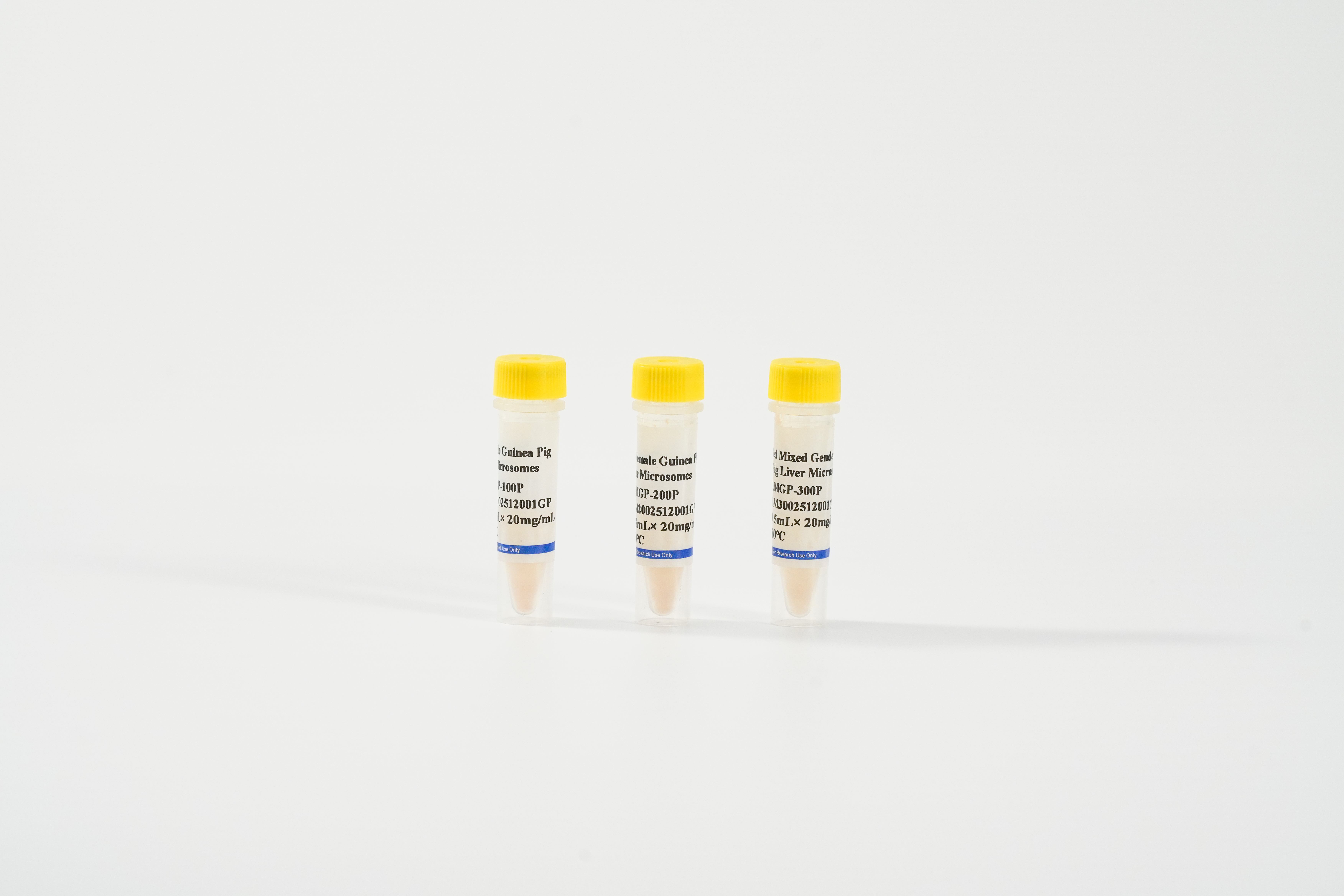 Guinea Pig Liver Microsomes