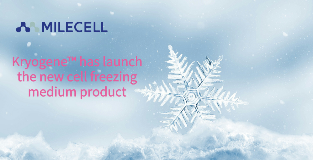 Kryogene™ has launch the new cell freezing medium product