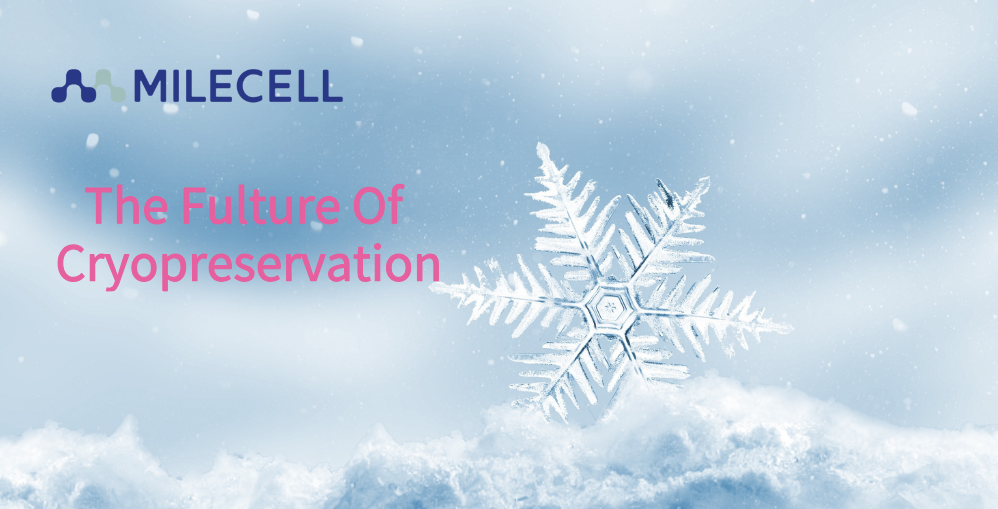 Revolutionize Your Cell Therapy Workflow with Kryogene™ – The Future of Cryopreservation