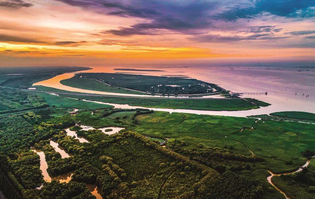 MileCell Bio's Annual Retreat: A Green Gateway for Global Growth