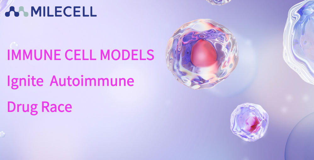 Patient-Derived Immune Cell Models Ignite the Autoimmune Drug Race: Why Are Industry Giants All In?