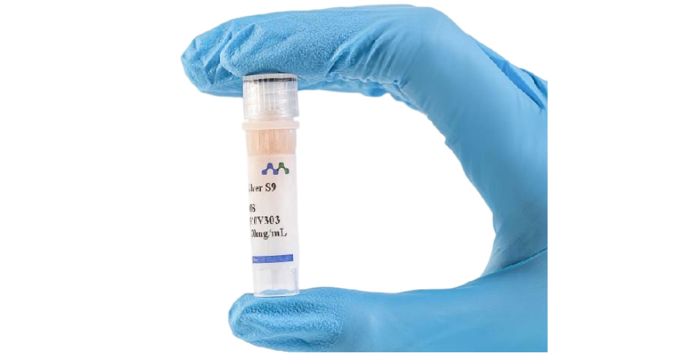 Advanced Tools for Drug Metabolism Research: Subcellular Fractions