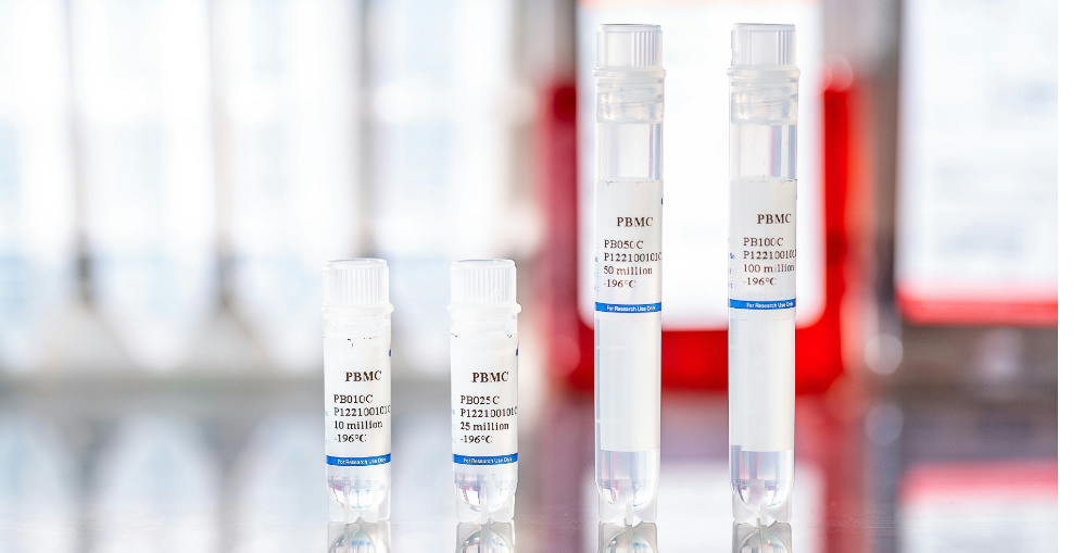 Animal Models &mdash; The Natural Allies in Unlocking Life's Mysteries and Advancing Drug Development