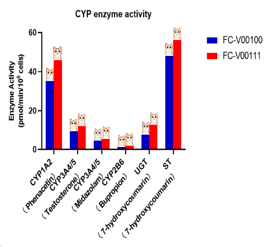 Chinese Domestic Cat “Fast, Precise, and Fierce”.png